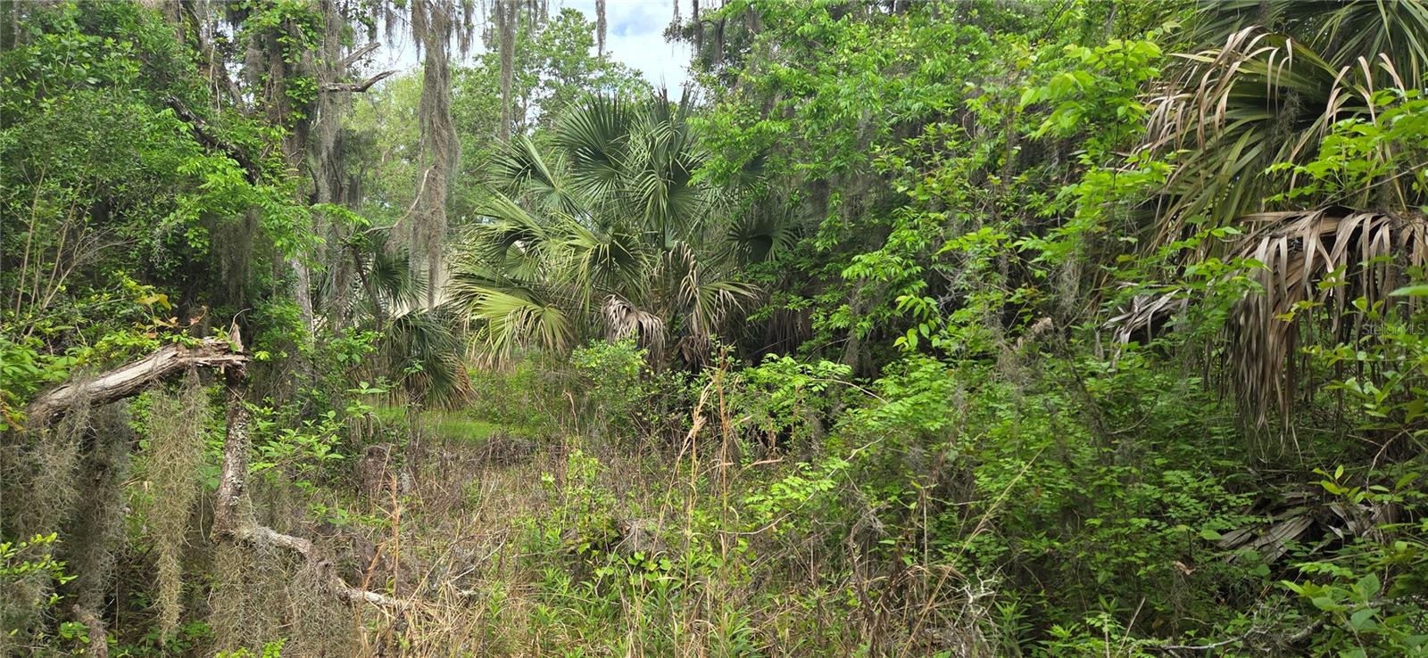 2392 N HERITAGE OAKS PATH, HERNANDO, FL, 34442