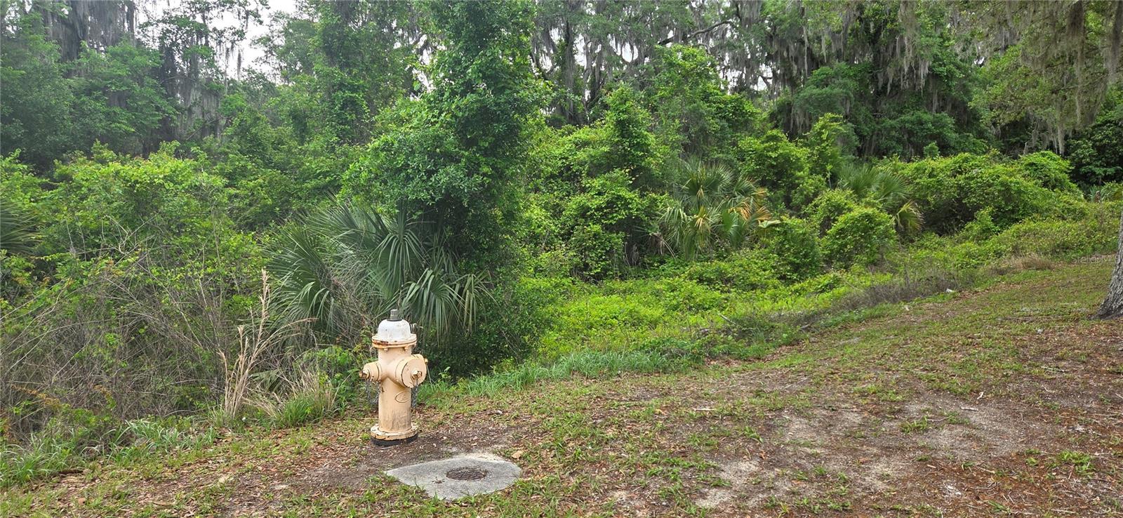 2392 N HERITAGE OAKS PATH, HERNANDO, FL, 34442