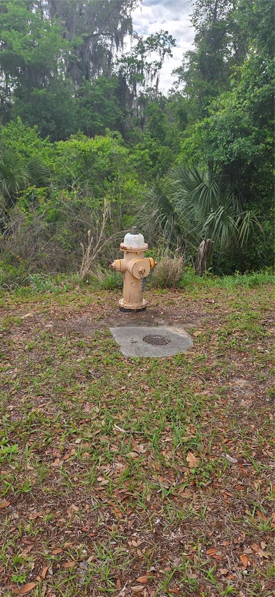 2392 N HERITAGE OAKS PATH, HERNANDO, FL, 34442