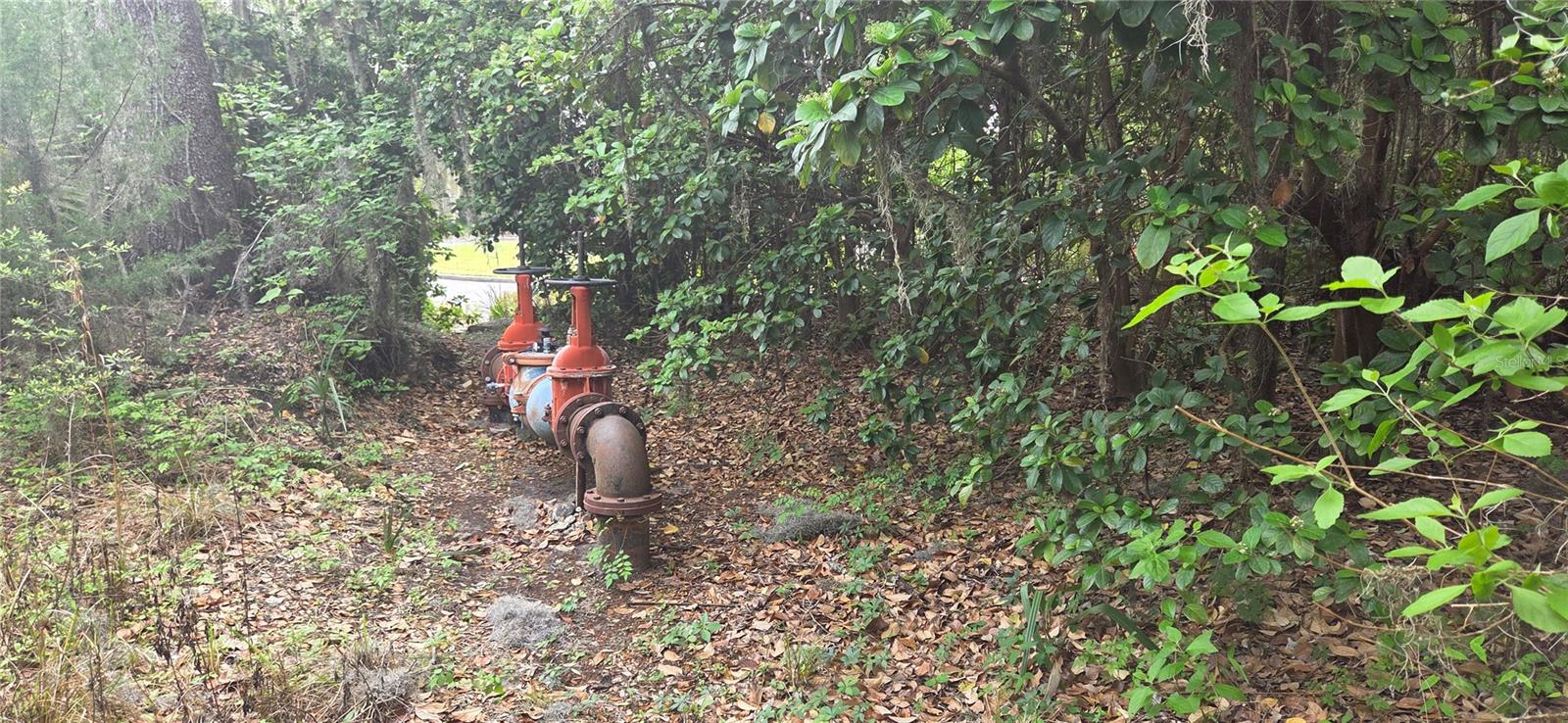 2392 N HERITAGE OAKS PATH, HERNANDO, FL, 34442