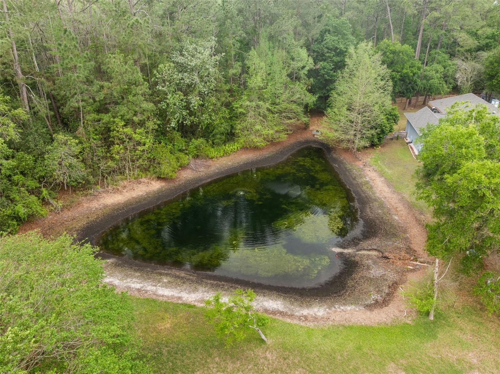 3448 NW 68TH RD, GAINESVILLE, FL, 32653