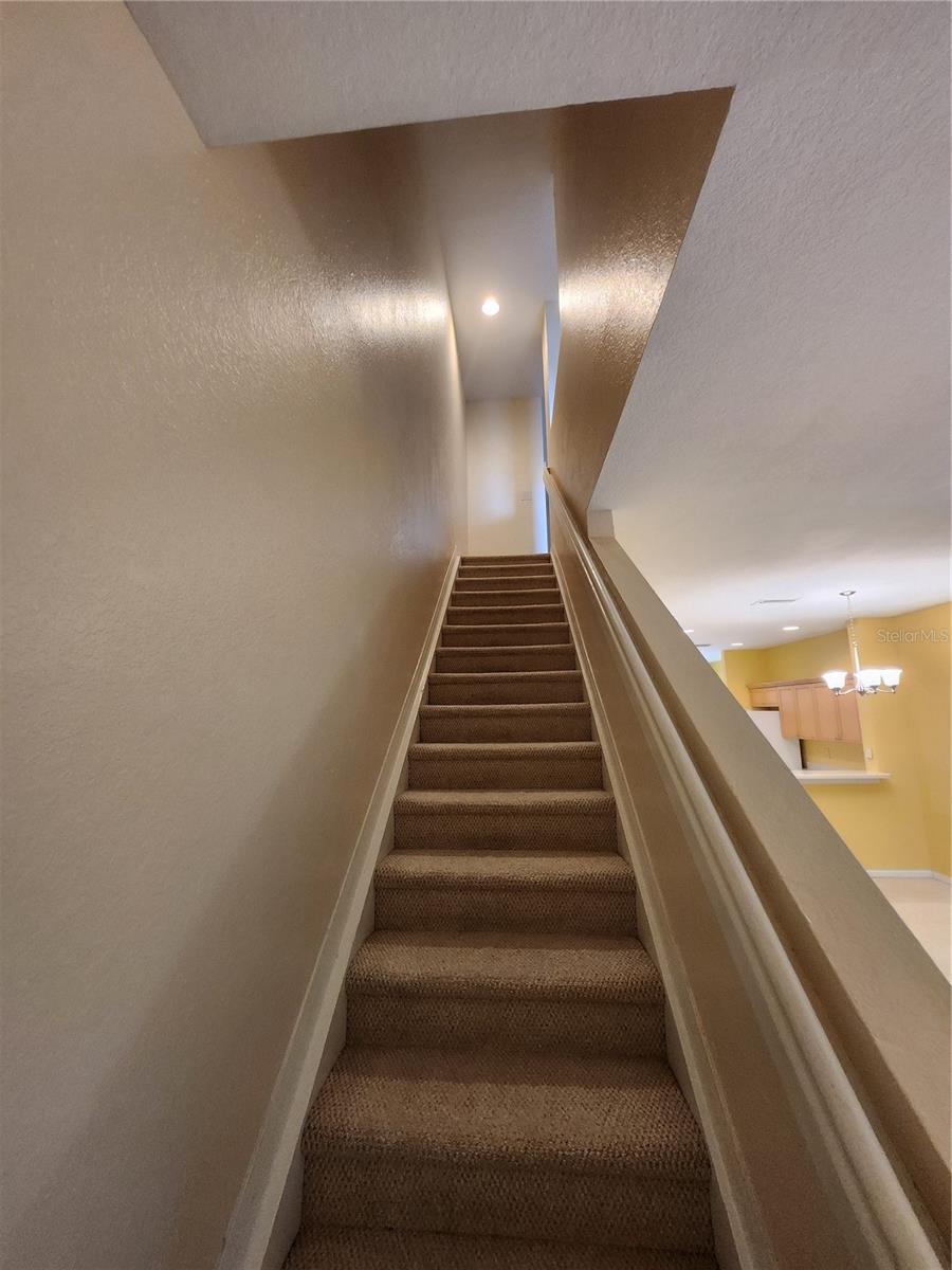 11076 WINTER CREST DR, RIVERVIEW, FL, 33569