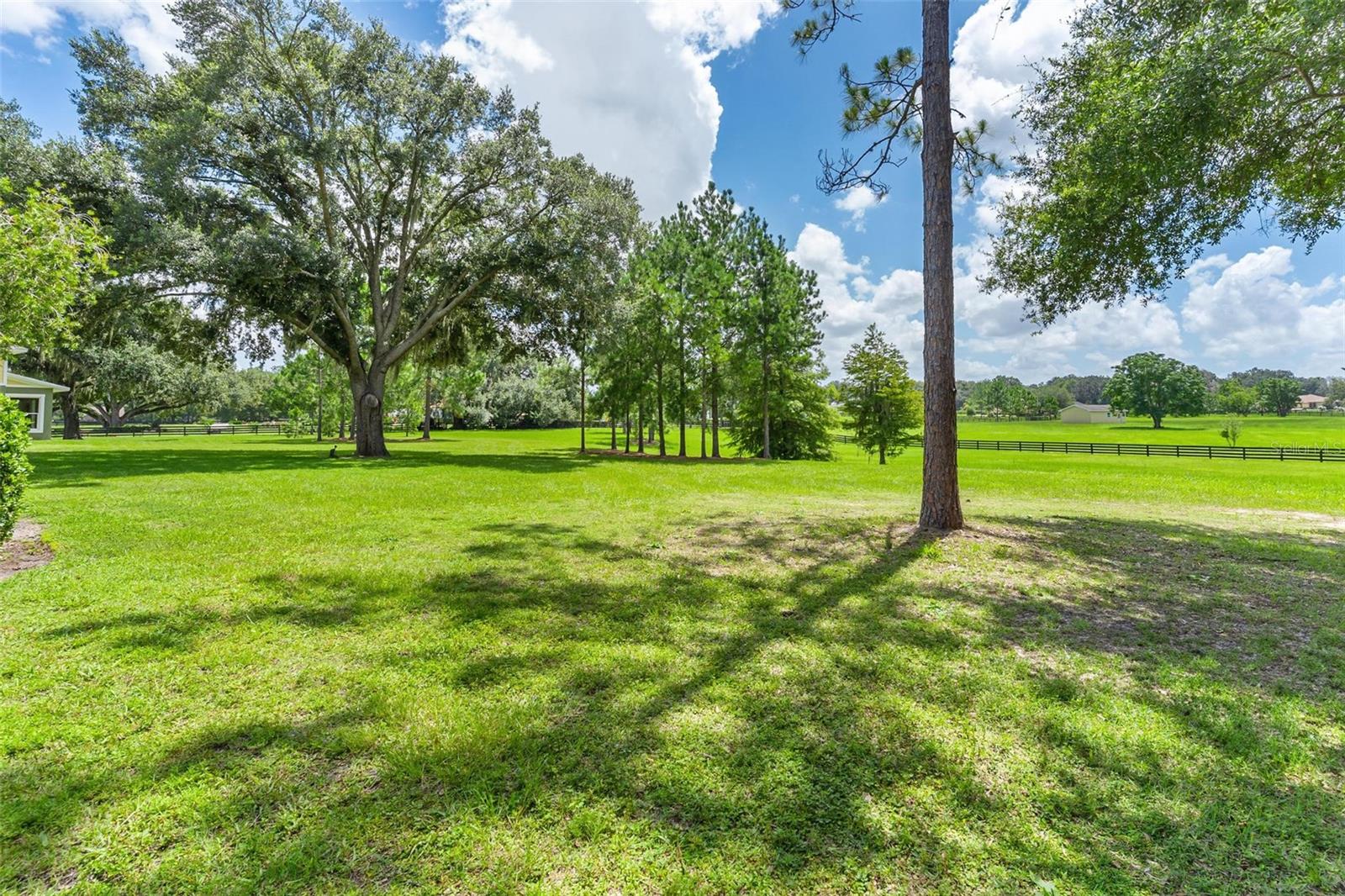 10615 NE 104TH CIR, OXFORD, FL, 34484