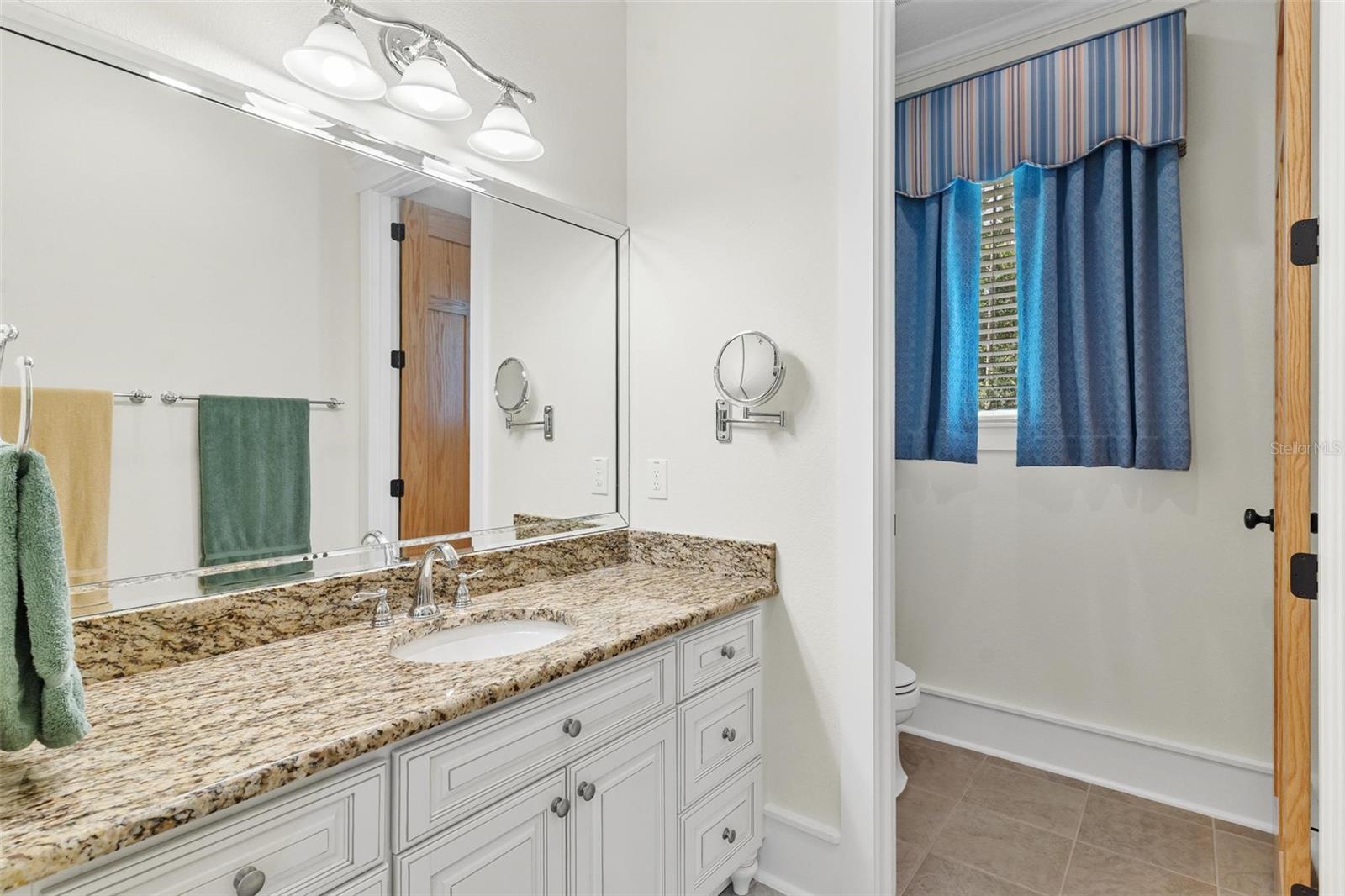 10615 NE 104TH CIR, OXFORD, FL, 34484
