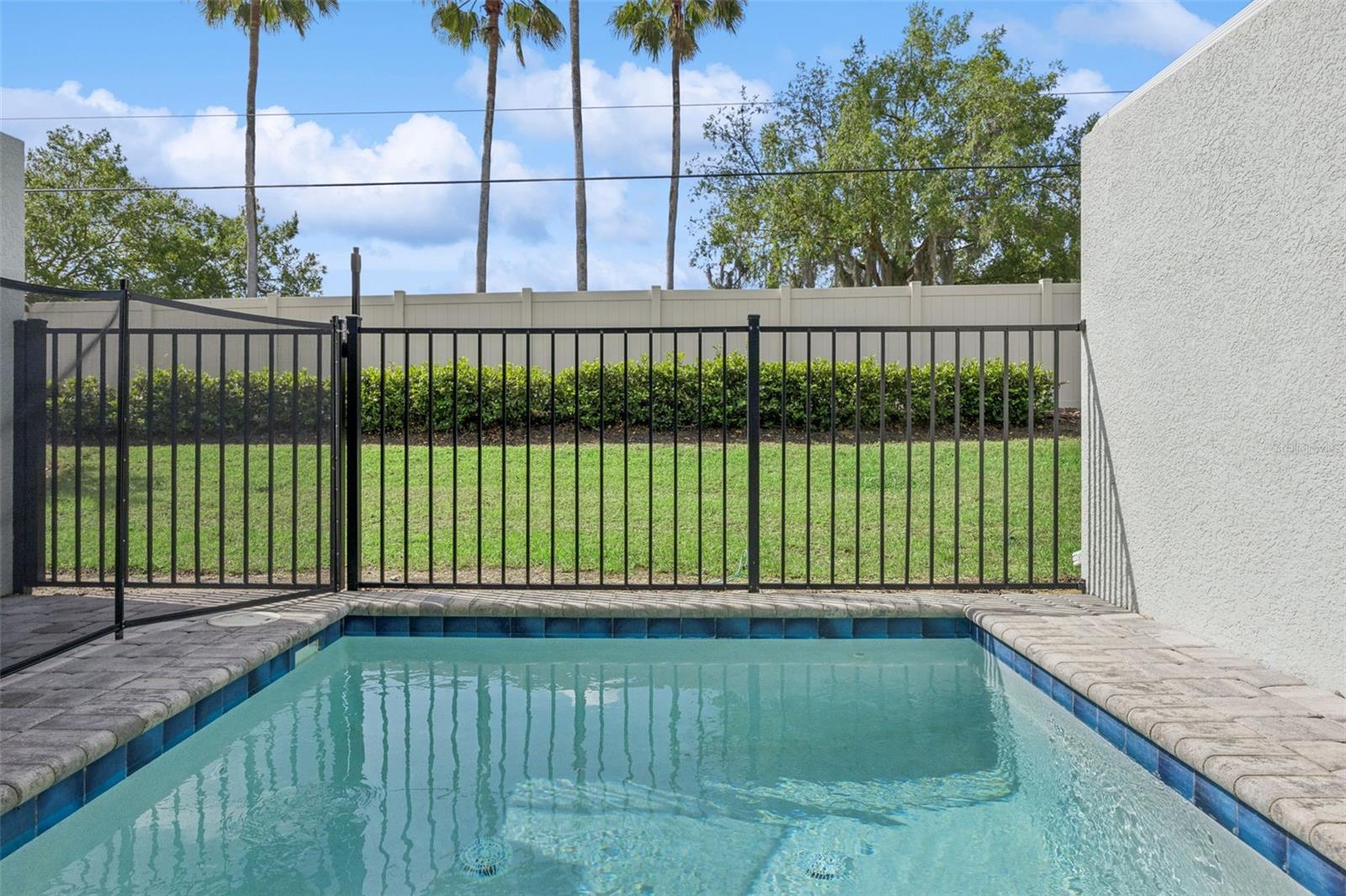 8008 FORMOSA VALLEY PL, KISSIMMEE, FL, 34747