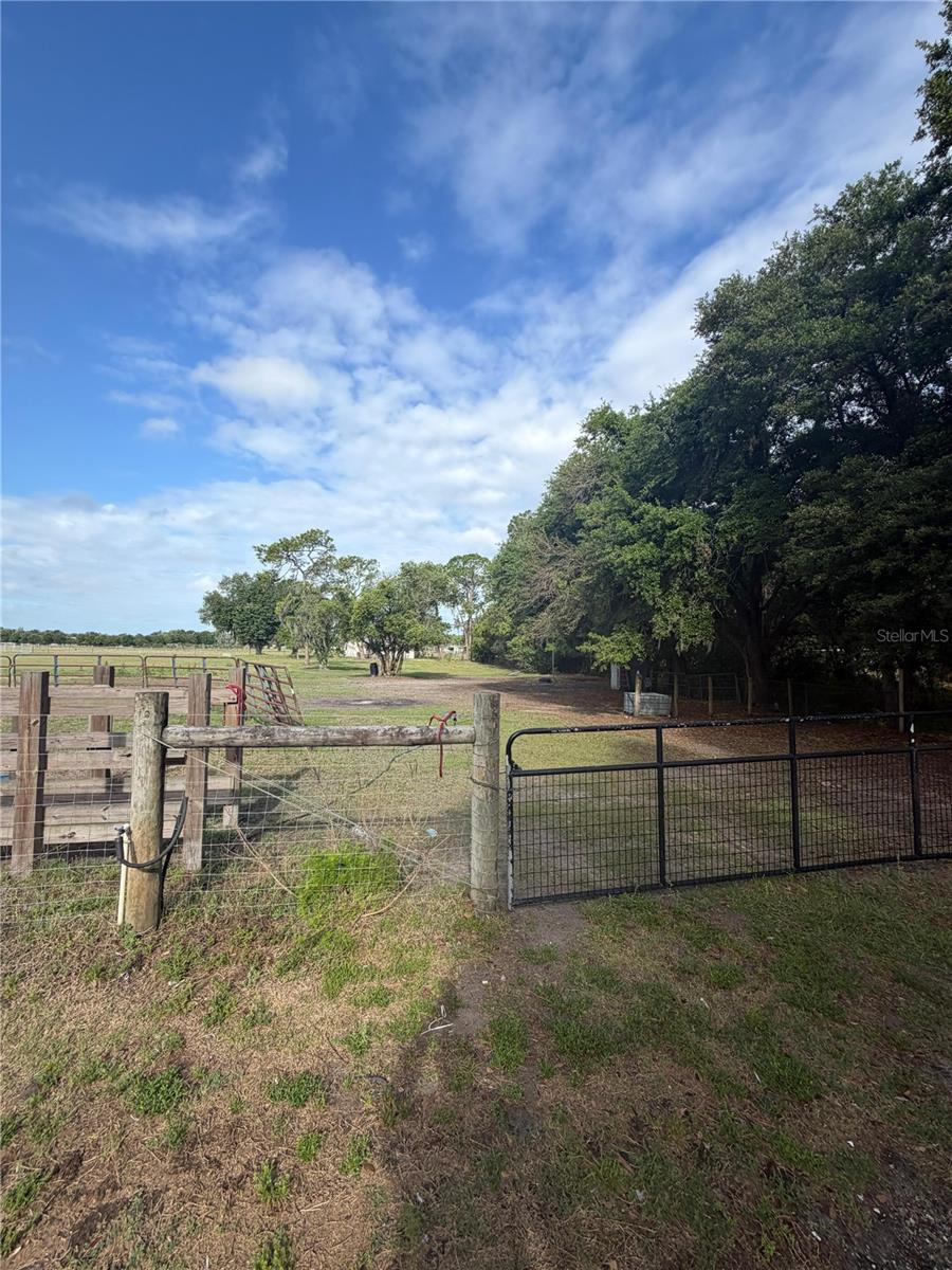 5009 VAUGHN RD, PLANT CITY, FL, 33565