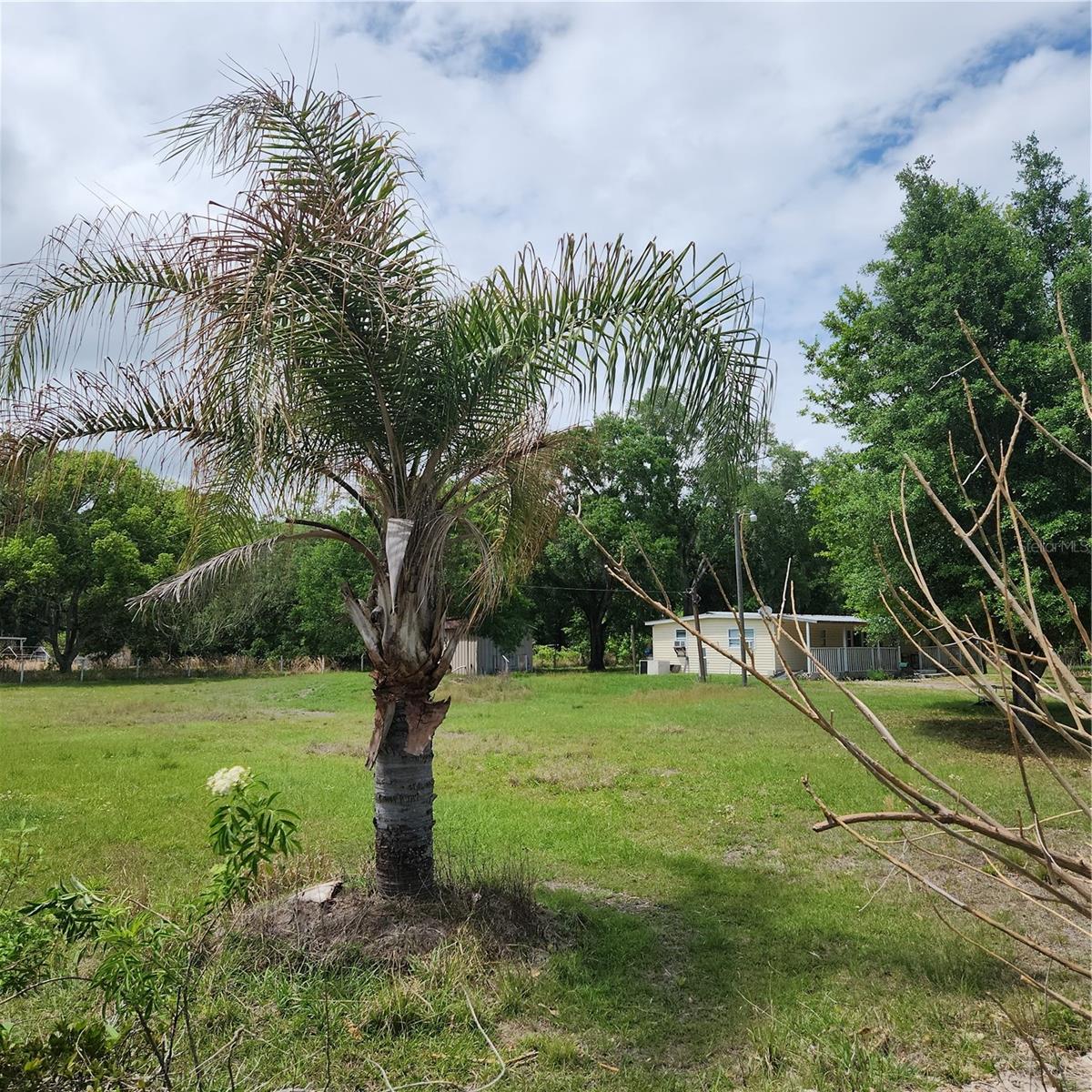 26739 FOAMFLOWER BLVD, WESLEY CHAPEL, FL, 33544