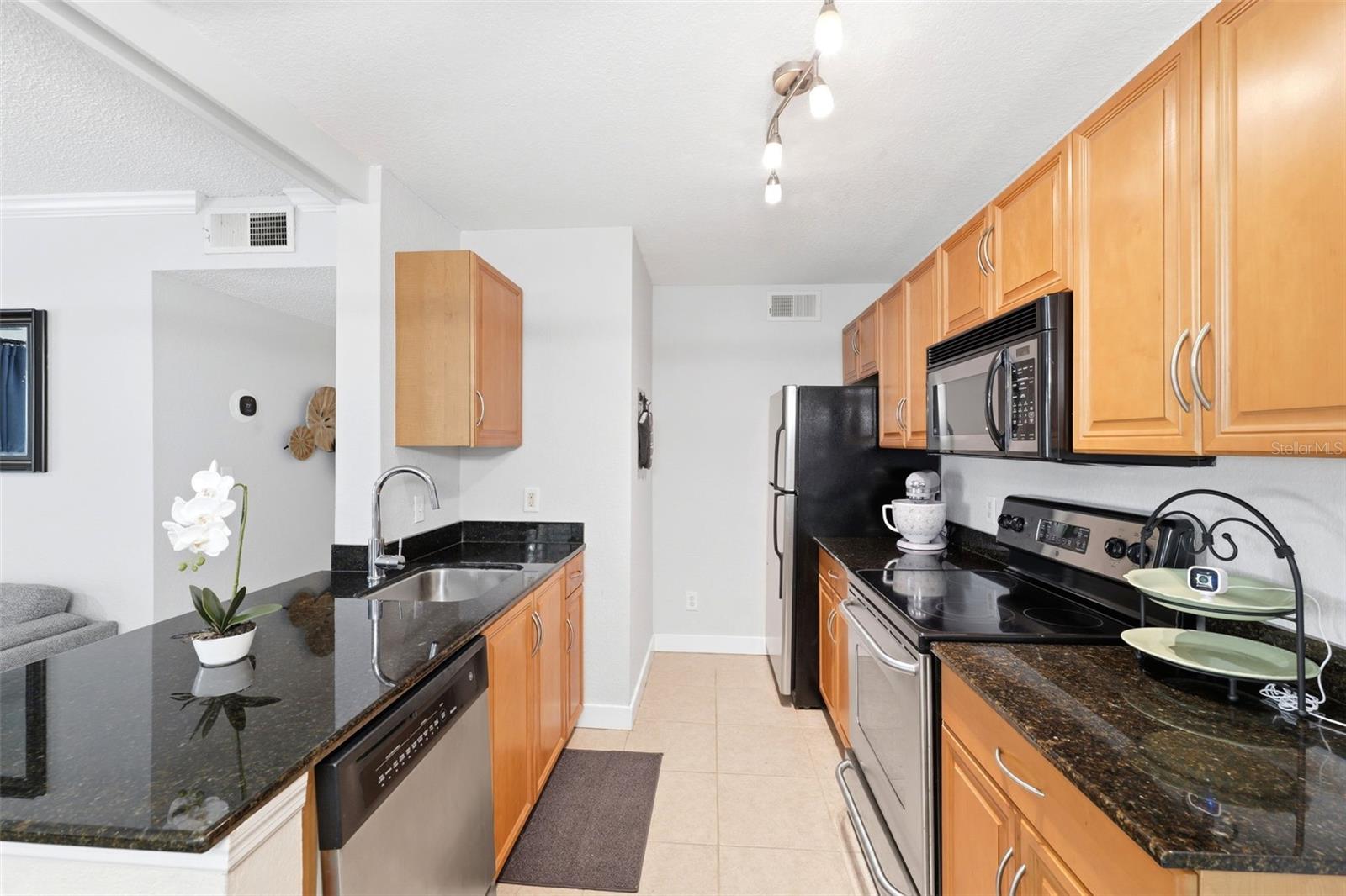 3321 HAVILAND CT #104, PALM HARBOR, FL, 34684