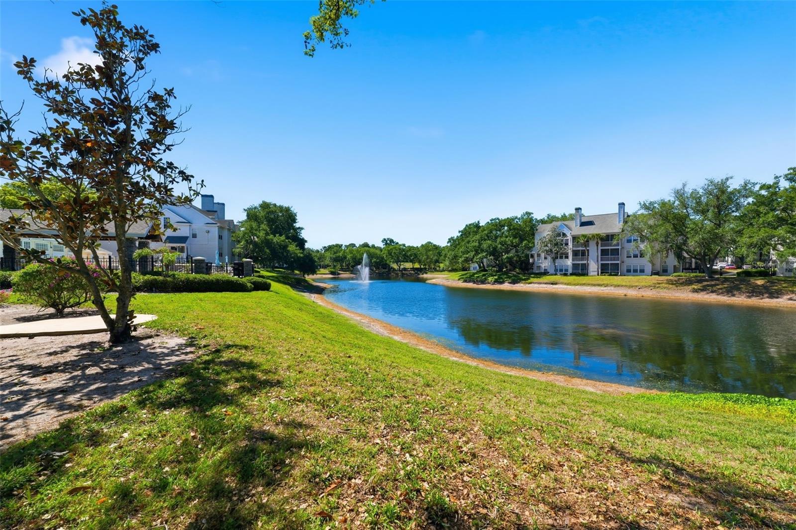 3321 HAVILAND CT #104, PALM HARBOR, FL, 34684