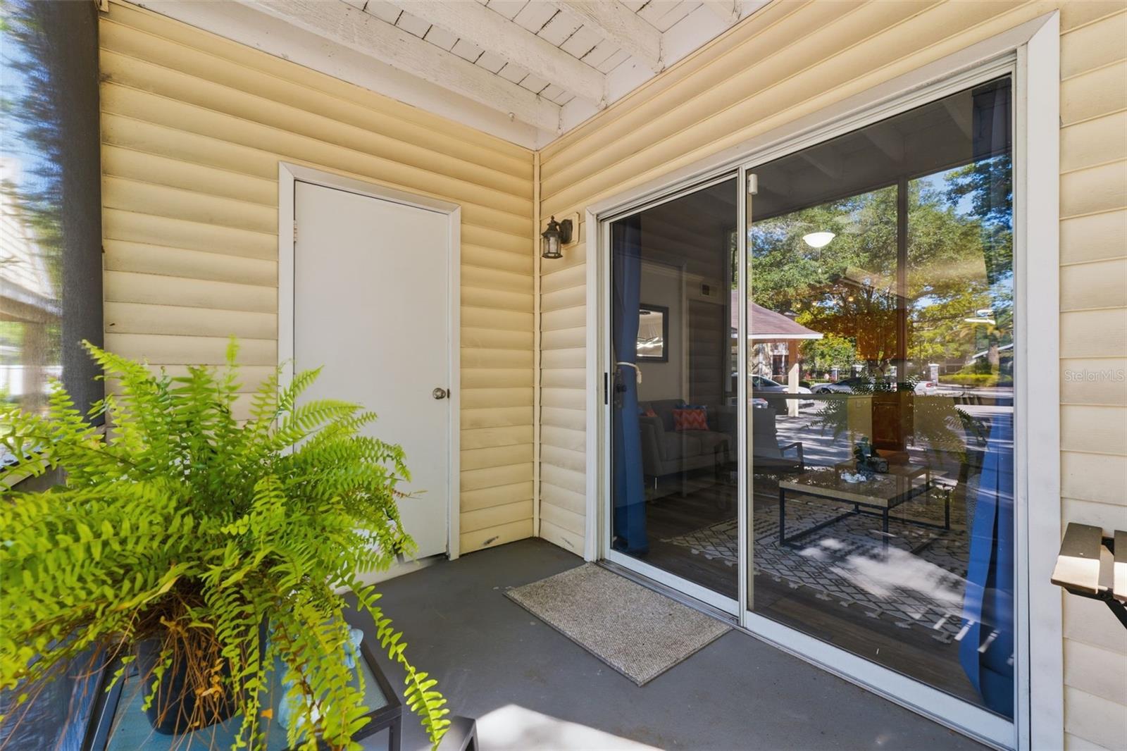 3321 HAVILAND CT #104, PALM HARBOR, FL, 34684