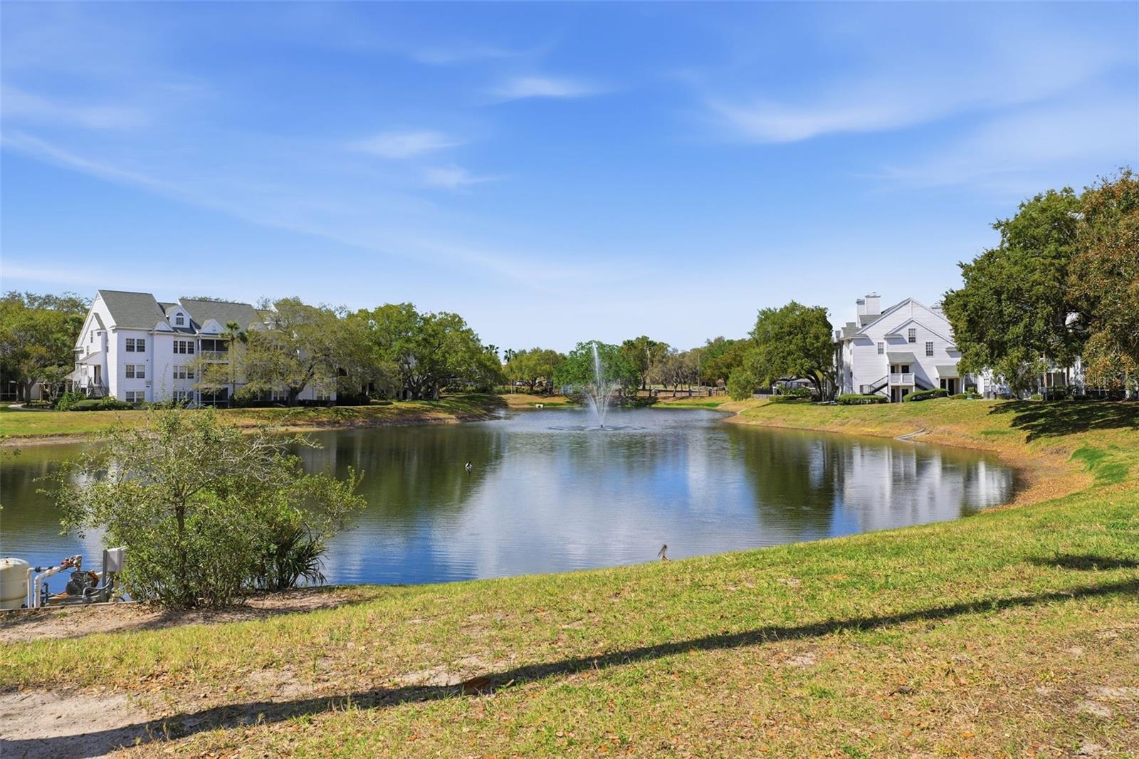 3321 HAVILAND CT #104, PALM HARBOR, FL, 34684