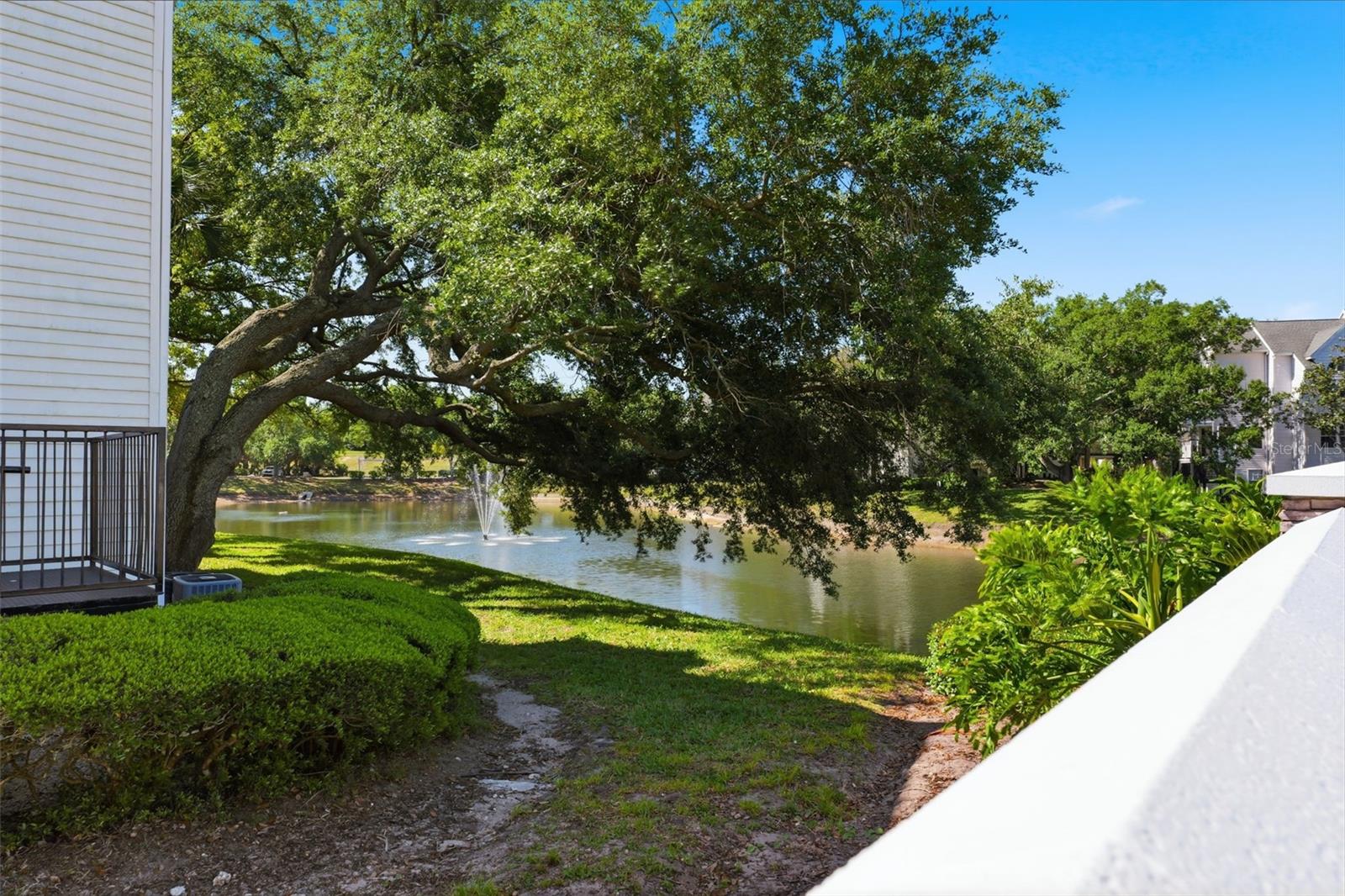 3321 HAVILAND CT #104, PALM HARBOR, FL, 34684