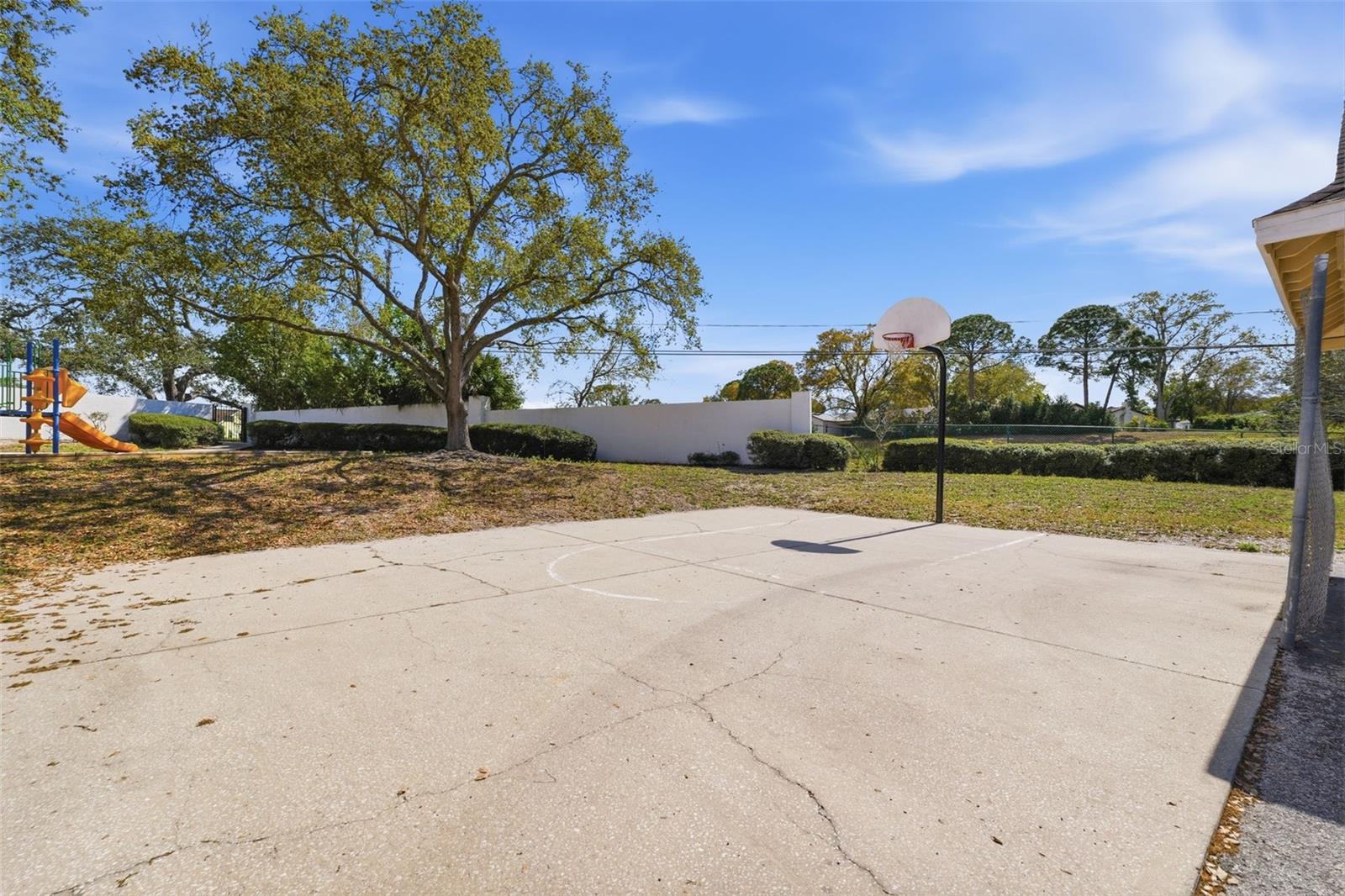 3321 HAVILAND CT #104, PALM HARBOR, FL, 34684