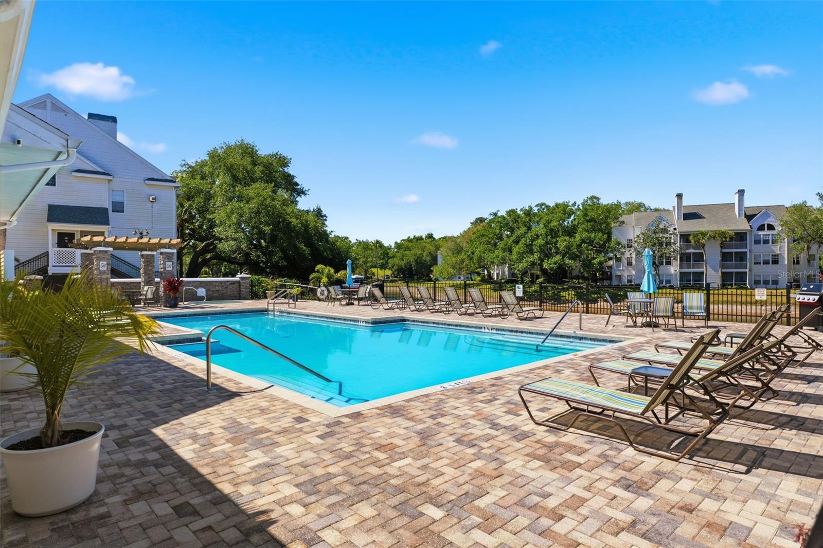 3321 HAVILAND CT #104, PALM HARBOR, FL, 34684