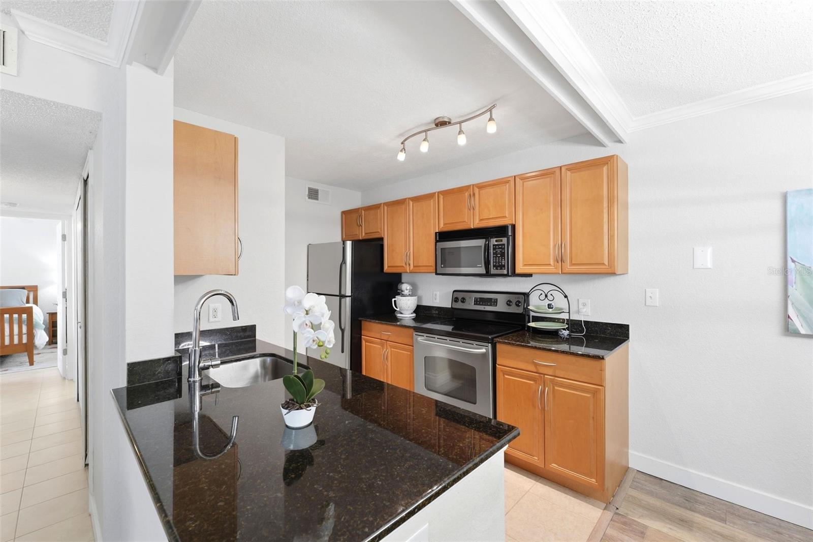 3321 HAVILAND CT #104, PALM HARBOR, FL, 34684