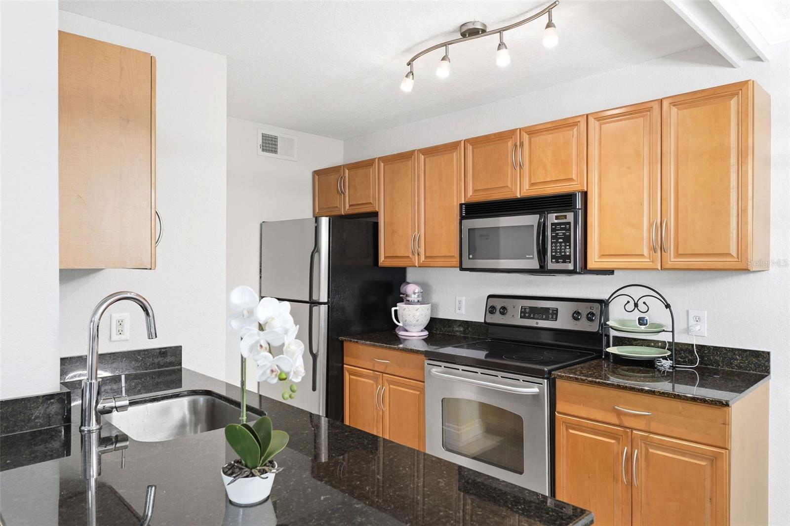 3321 HAVILAND CT #104, PALM HARBOR, FL, 34684