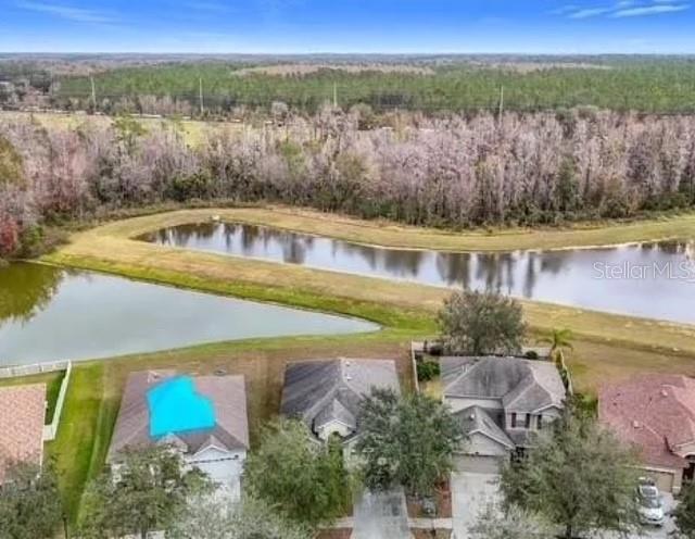 Views to the backyard