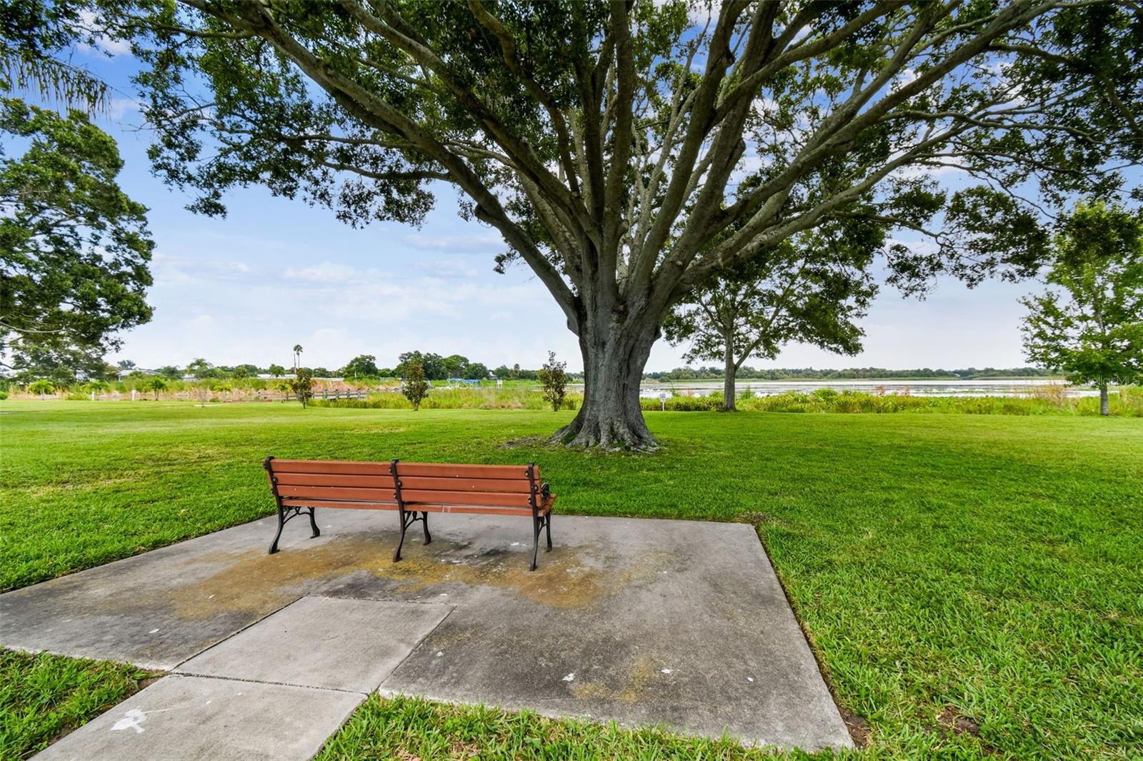 12651 SEMINOLE BLVD #15I, LARGO, FL, 33778