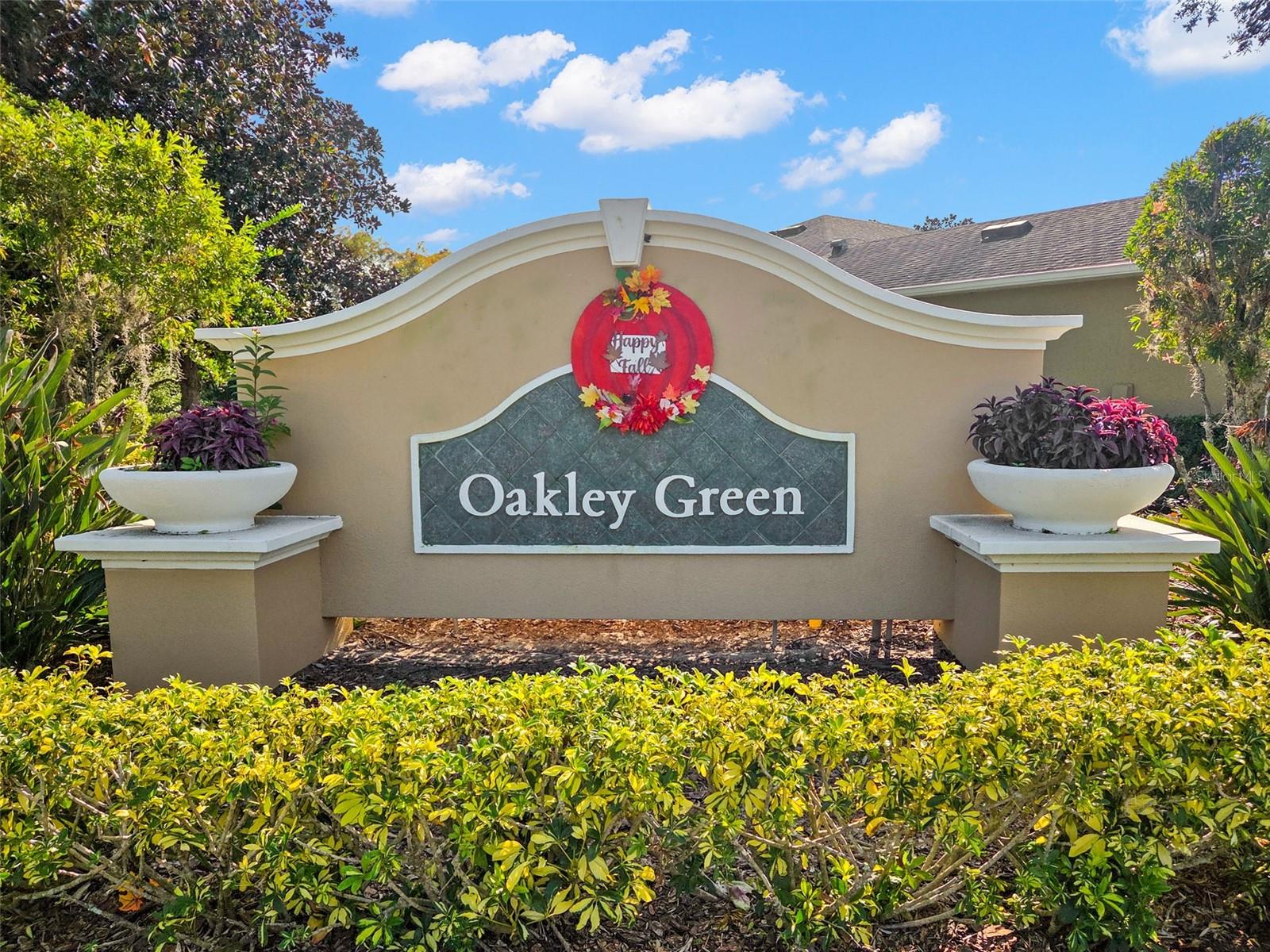 2346 OAKLEY GREEN DR, SUN CITY CENTER, FL, 33573