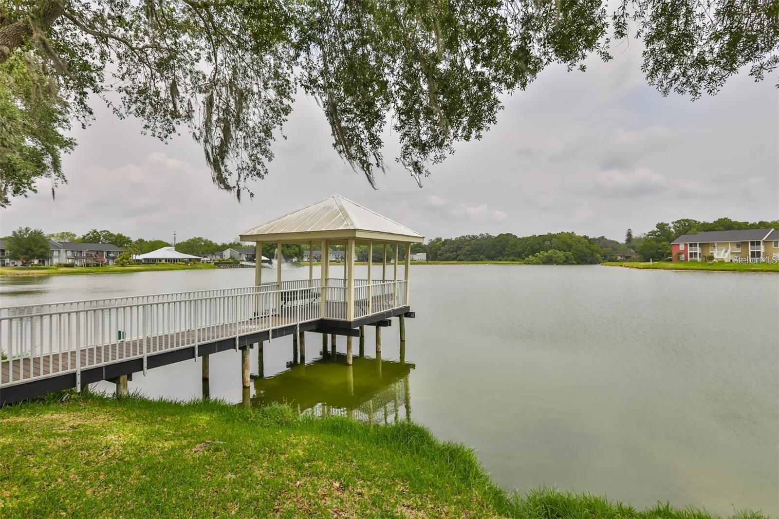 221 LAKE BROOK CIR #203, BRANDON, FL, 33511