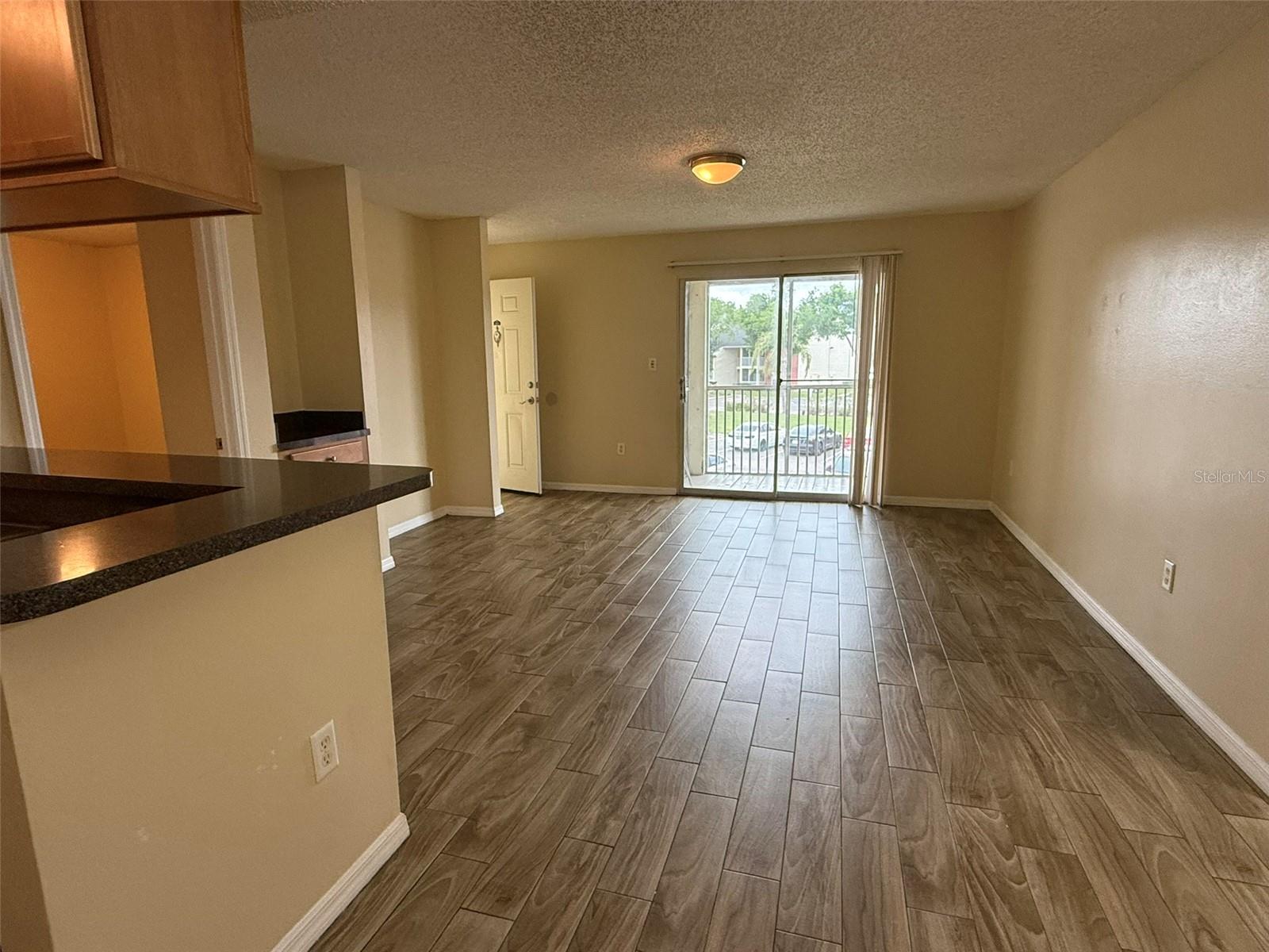 221 LAKE BROOK CIR #203, BRANDON, FL, 33511