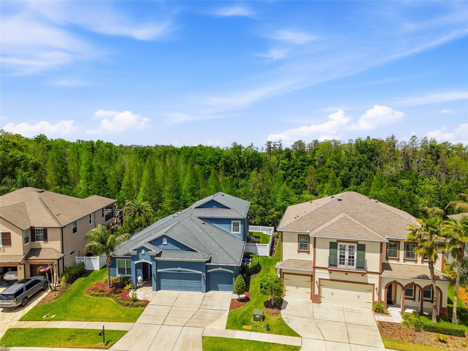 entire back yard is fenced