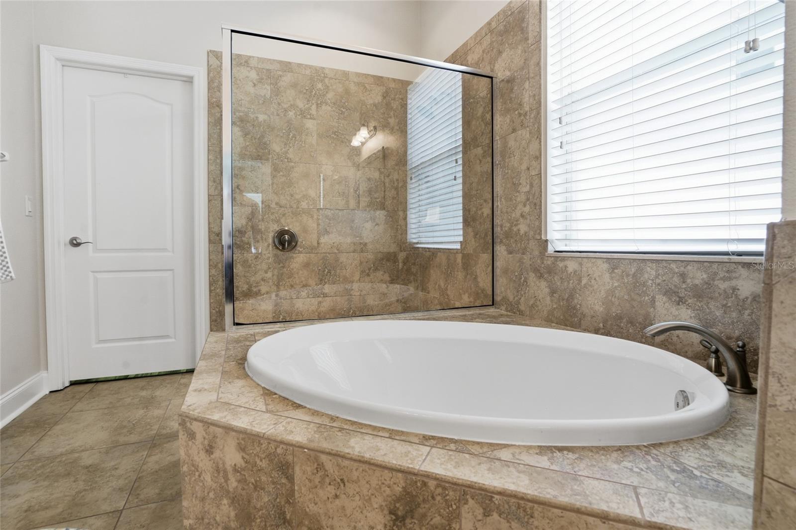 gorgeous spa soaking tub and separate shower