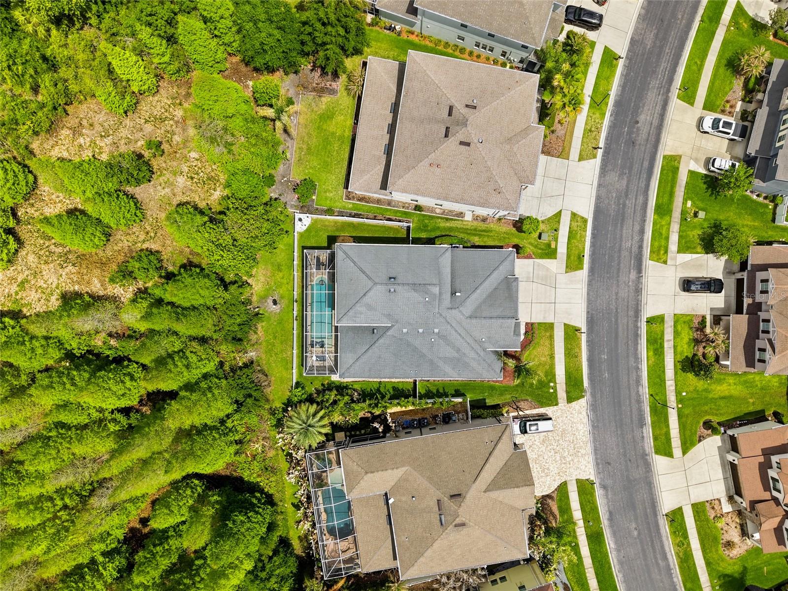 lush private conversation