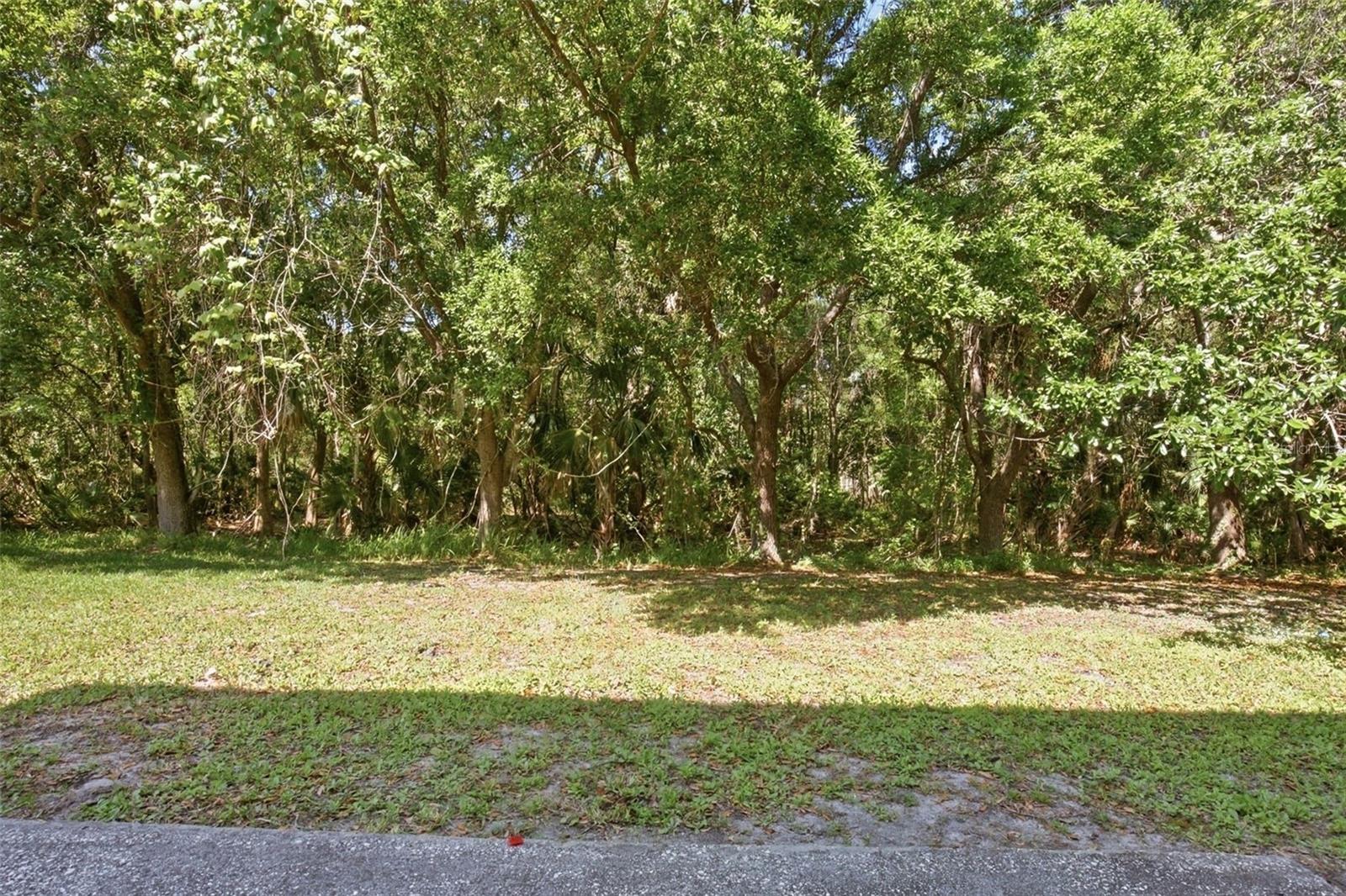 19222 WOOD SAGE DR, TAMPA, FL, 33647