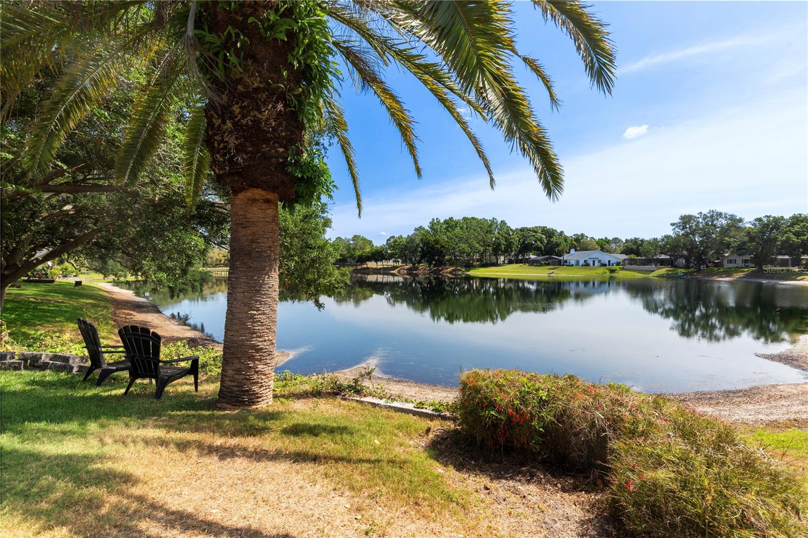 5000 LAKE VALENCIA BLVD W, PALM HARBOR, FL, 34684