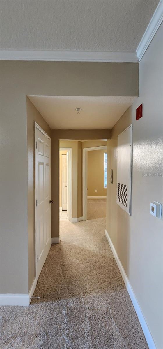 2015 RESTON RD #2211, ORLANDO, FL, 32837
