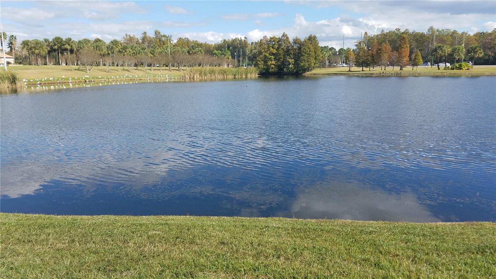 2015 RESTON RD #2211, ORLANDO, FL, 32837