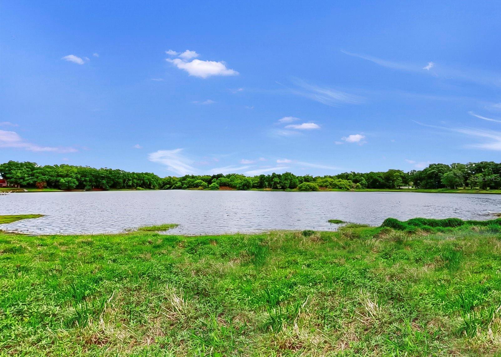 220 ROSANA DR, BRANDON, FL, 33511