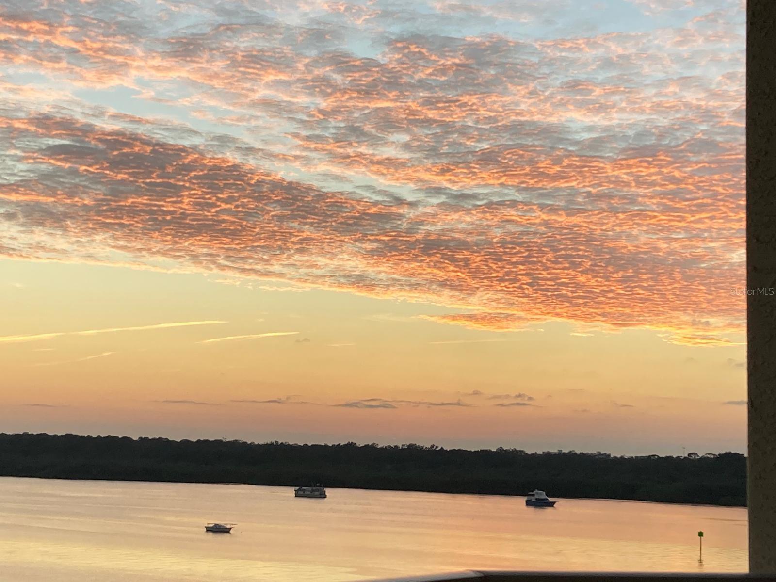 8800 BAY PINES BLVD #320, ST PETERSBURG, FL, 33709