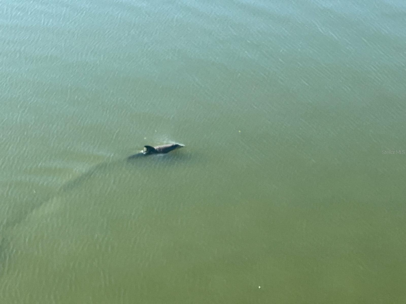 8800 BAY PINES BLVD #320, ST PETERSBURG, FL, 33709