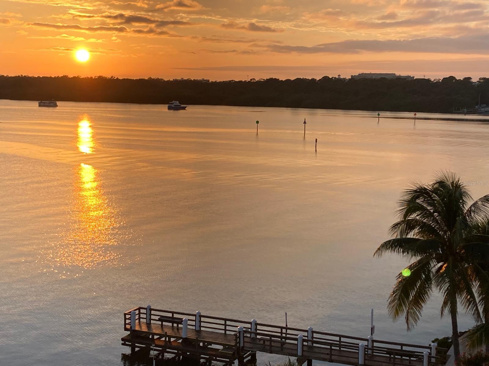 8800 BAY PINES BLVD #320, ST PETERSBURG, FL, 33709