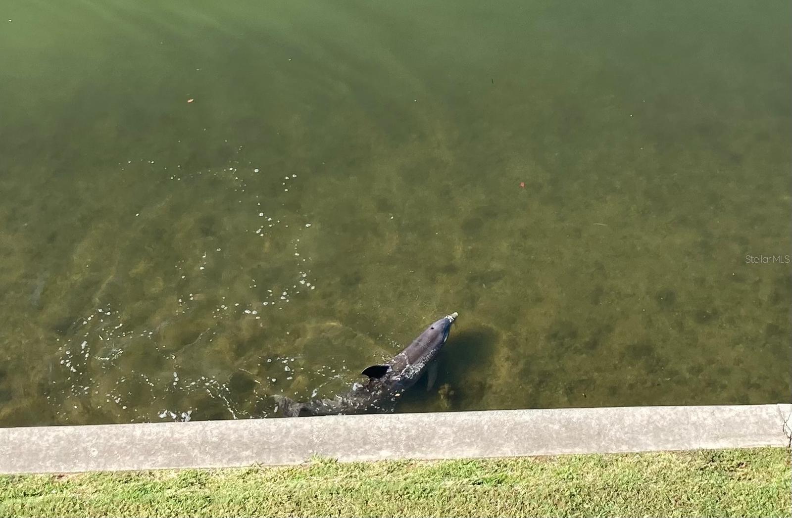 8800 BAY PINES BLVD #320, ST PETERSBURG, FL, 33709