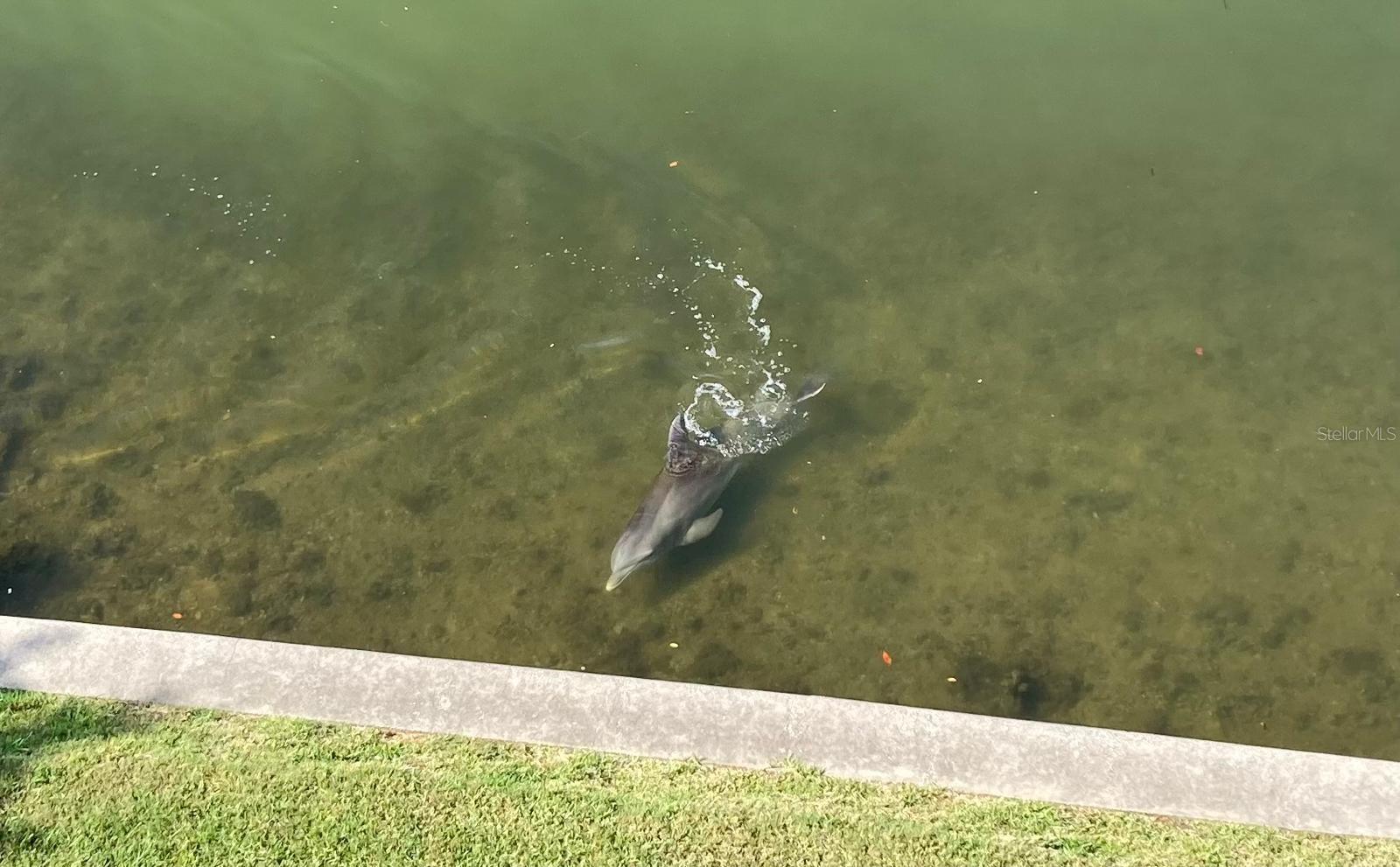 8800 BAY PINES BLVD #320, ST PETERSBURG, FL, 33709