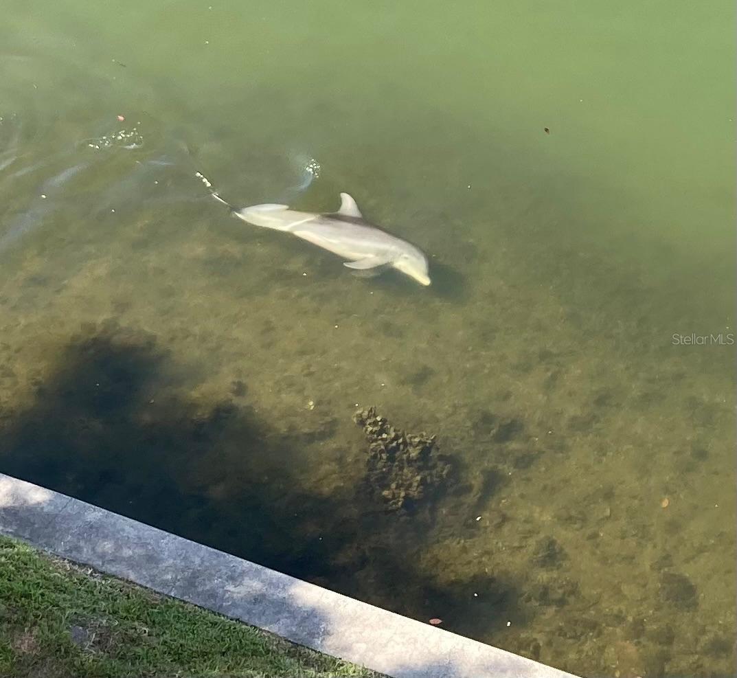 8800 BAY PINES BLVD #320, ST PETERSBURG, FL, 33709