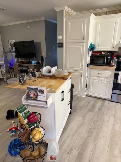 13330 SE 21ST PL, MORRISTON, FL, 32668