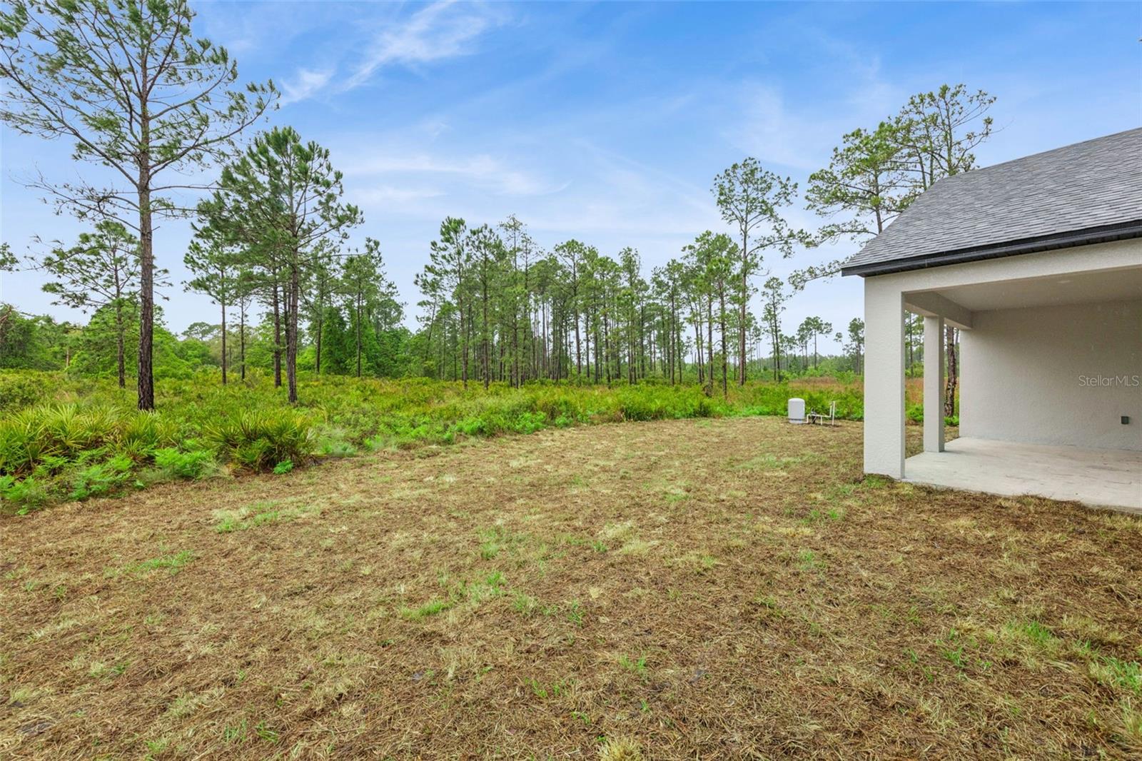 42875 HONEYSUCKLE ST, EUSTIS, FL, 32736