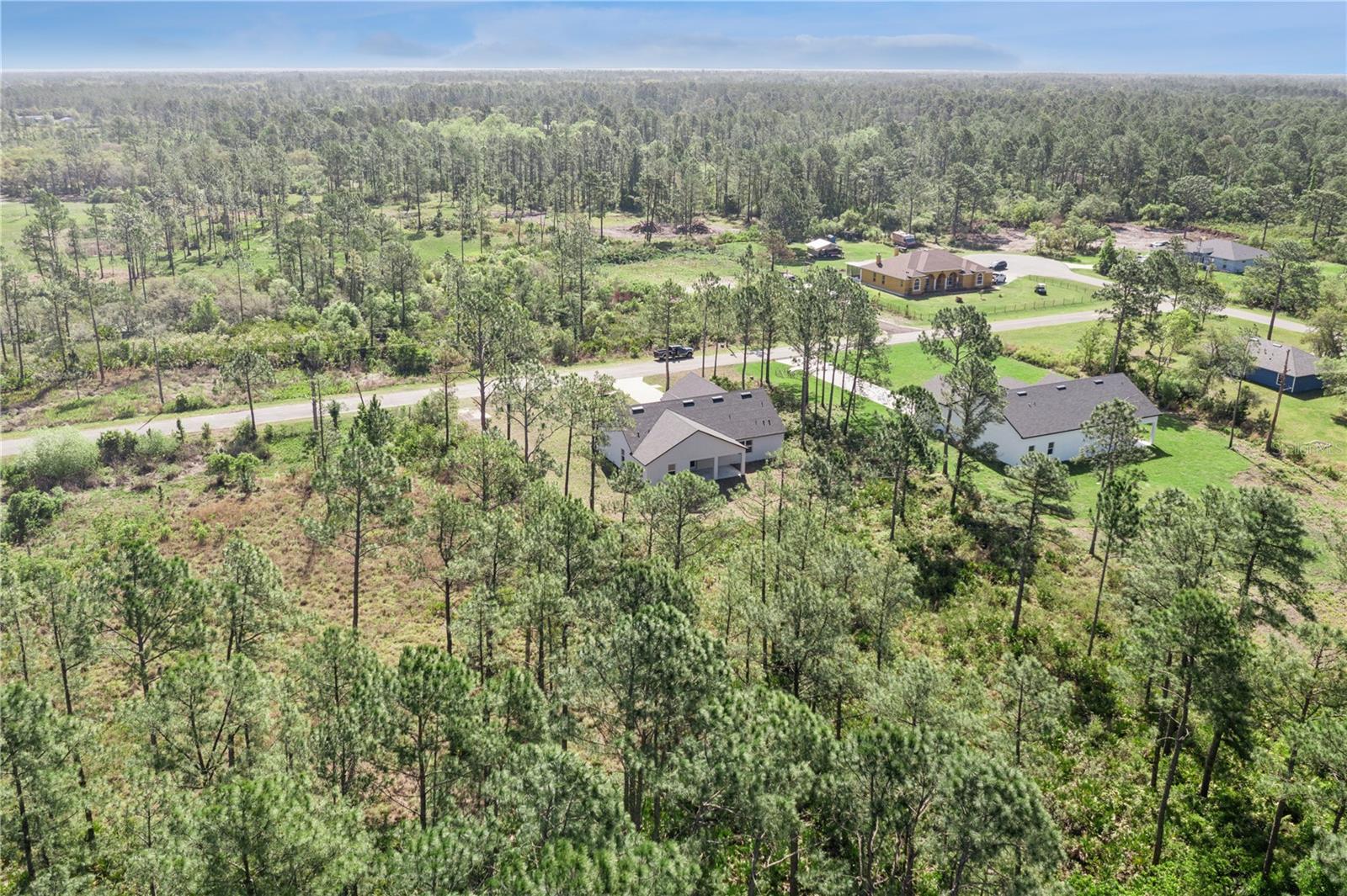 42875 HONEYSUCKLE ST, EUSTIS, FL, 32736