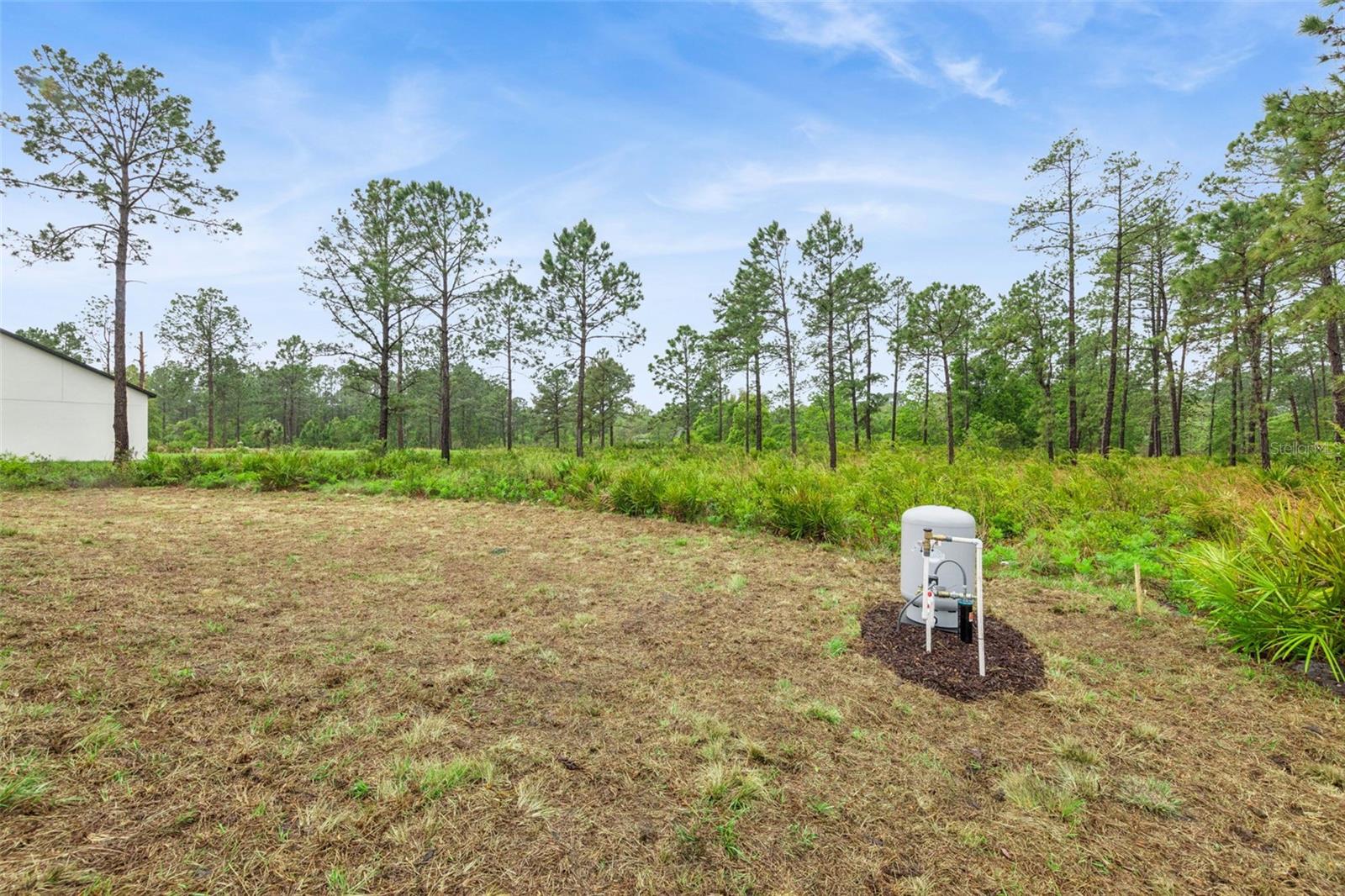 42875 HONEYSUCKLE ST, EUSTIS, FL, 32736