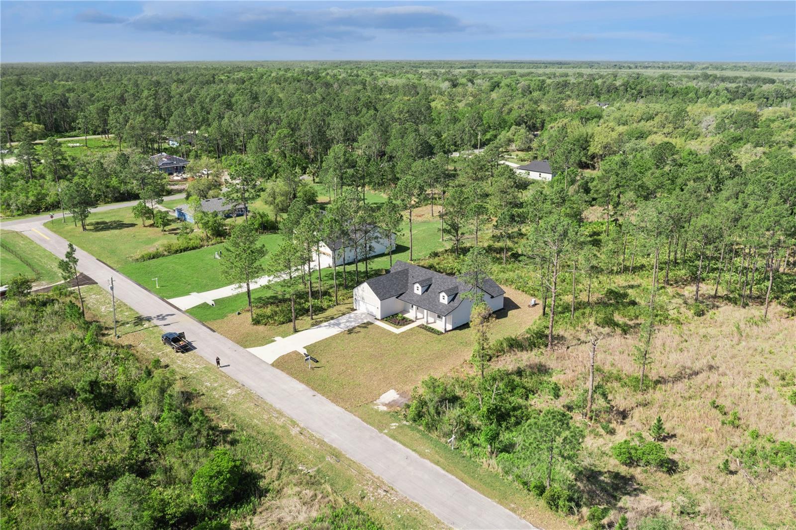 42875 HONEYSUCKLE ST, EUSTIS, FL, 32736
