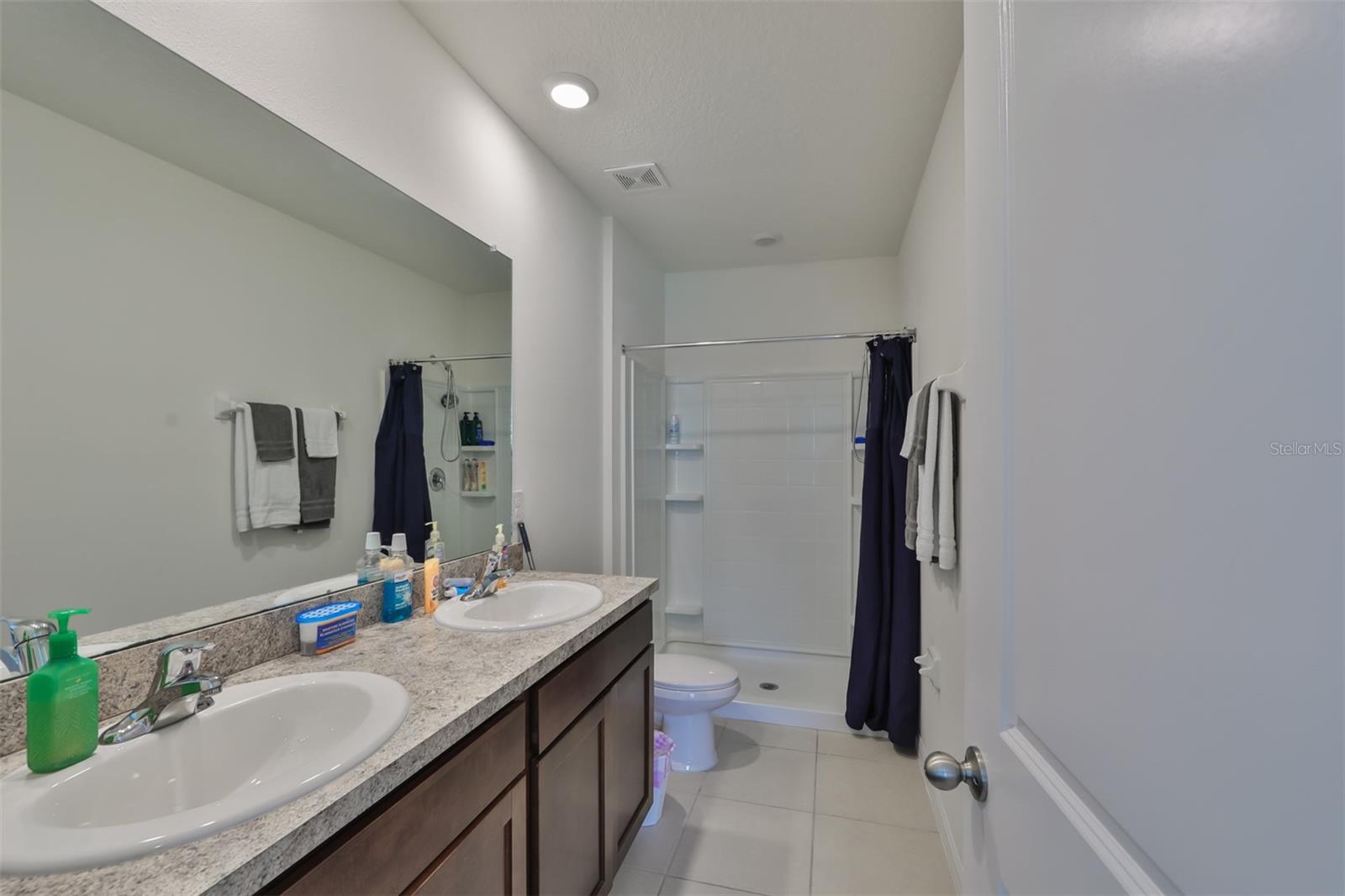 3225 PLEASANT WILLOW CT, BRANDON, FL, 33511