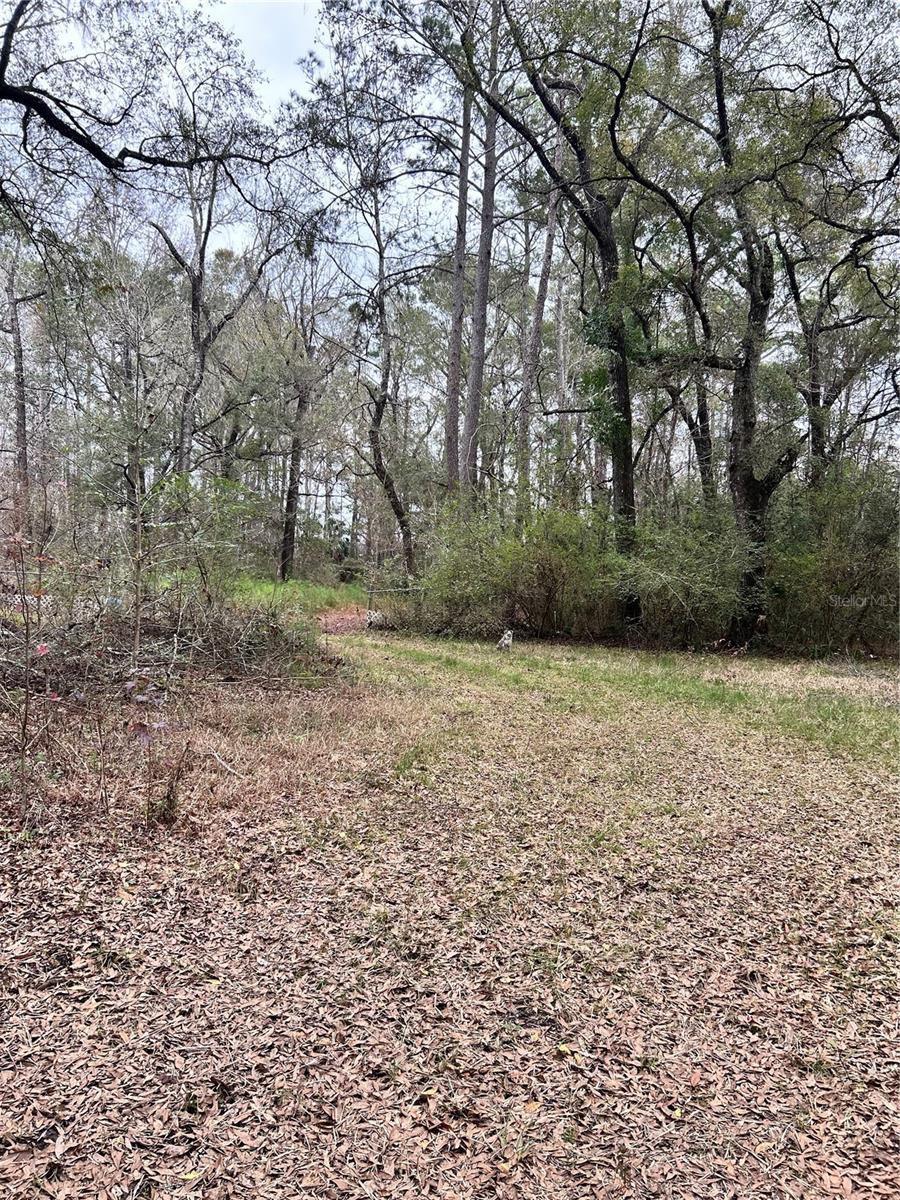 1247 WOODVILLE HWY, CRAWFORDVILLE, FL, 32327