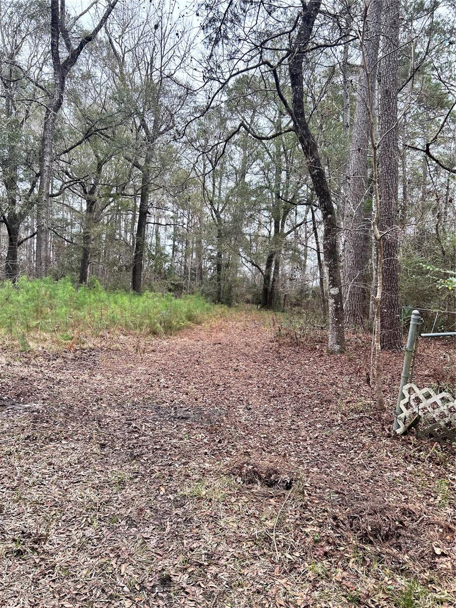 1247 WOODVILLE HWY, CRAWFORDVILLE, FL, 32327