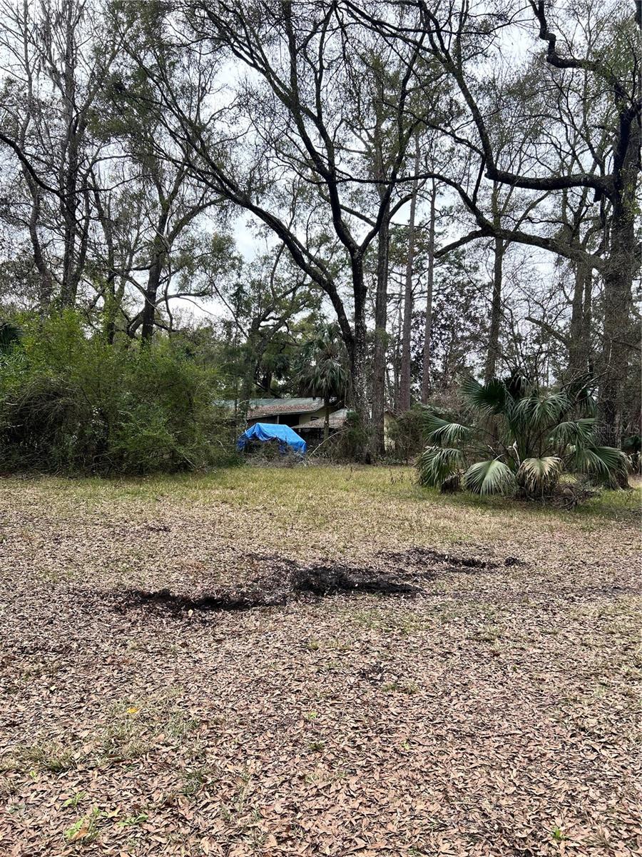 1247 WOODVILLE HWY, CRAWFORDVILLE, FL, 32327