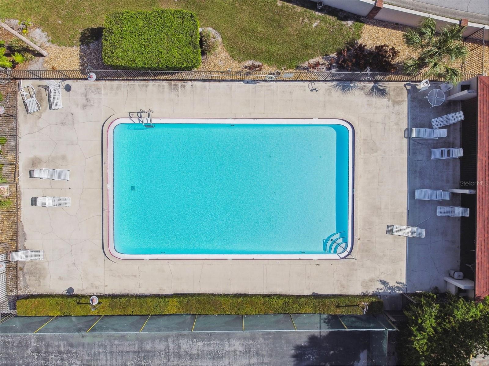 2971 ESTANCIA BLVD #313, CLEARWATER, FL, 33761