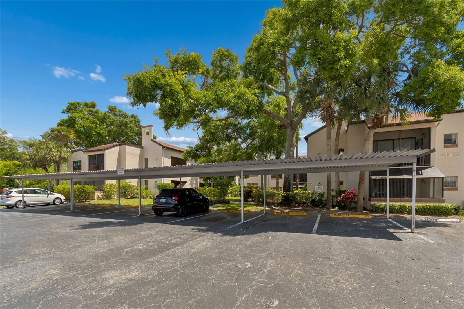 2971 ESTANCIA BLVD #313, CLEARWATER, FL, 33761